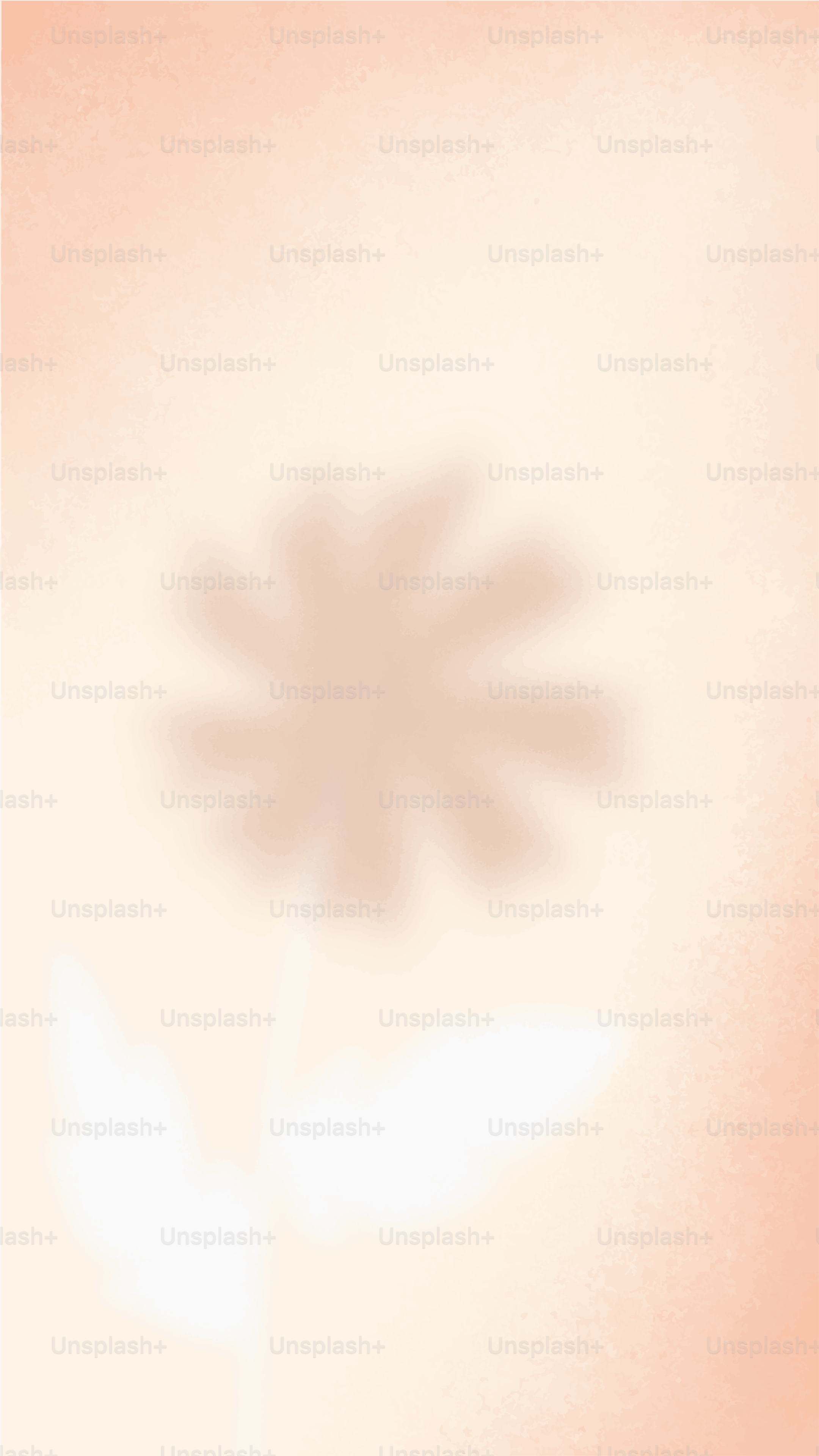 Une ombre de feuilles de palmier sur fond pêche.