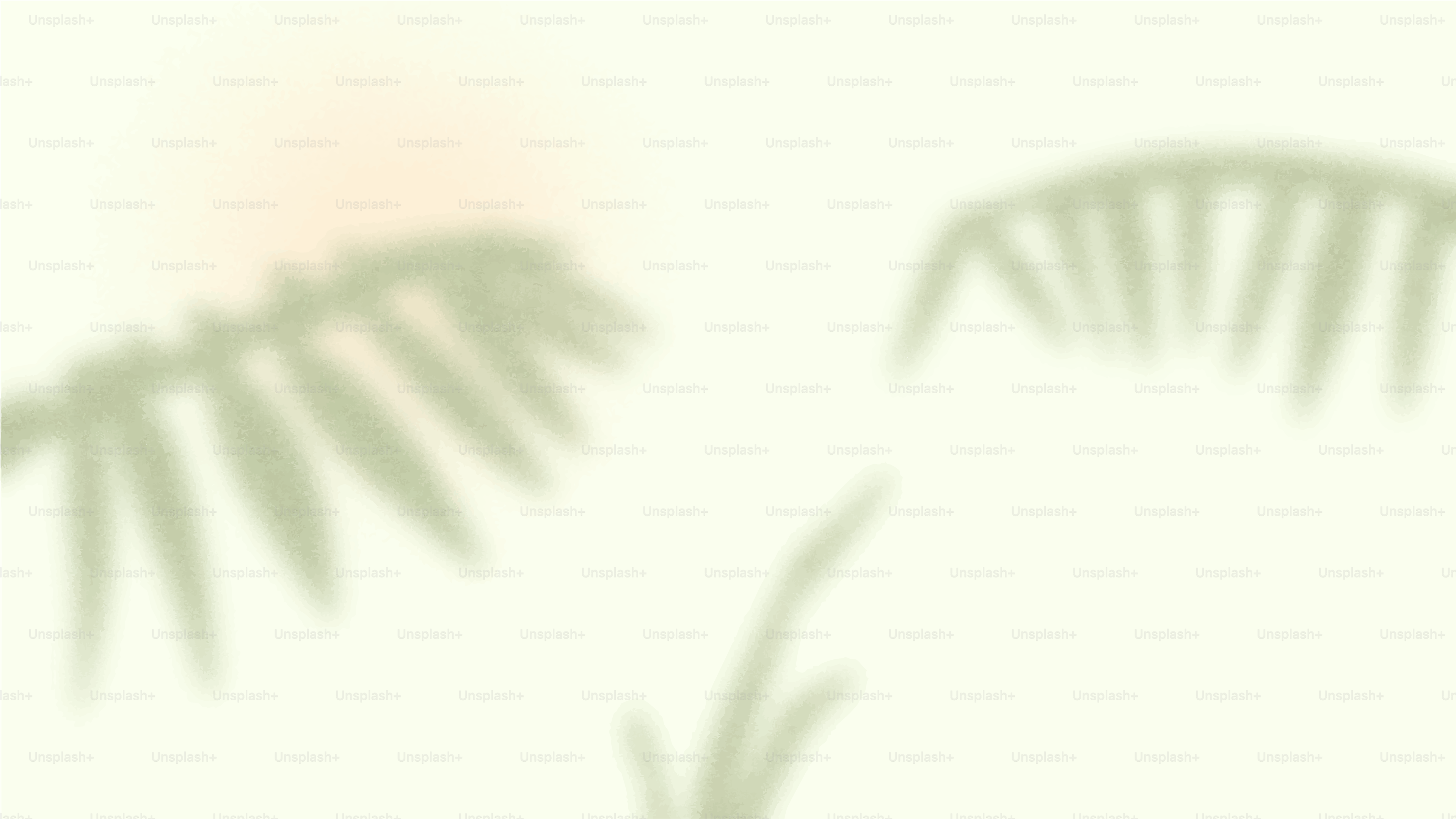 Palm shadows create a simple, airy aesthetic.