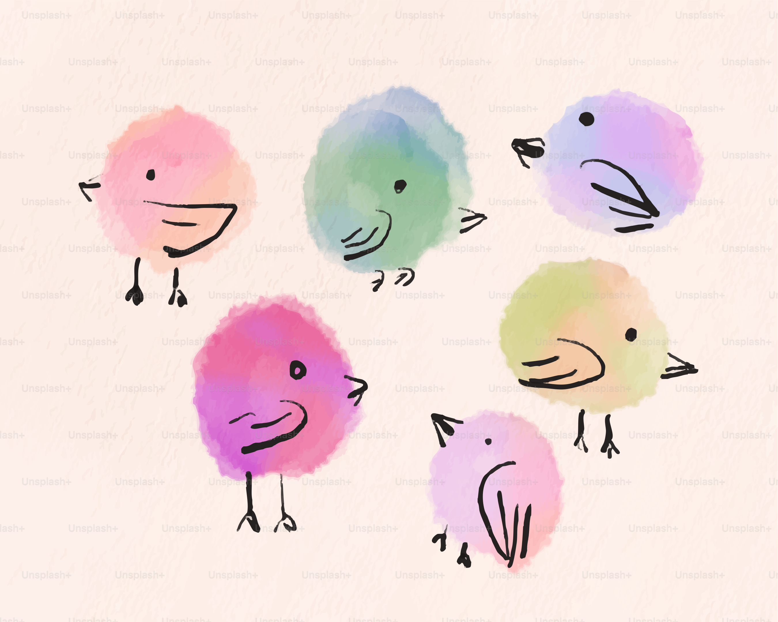 Siete pájaros adorables y coloridos en un suave estilo acuarela. vector –  Imagen de Arte en Unsplash, image size:3000x2400