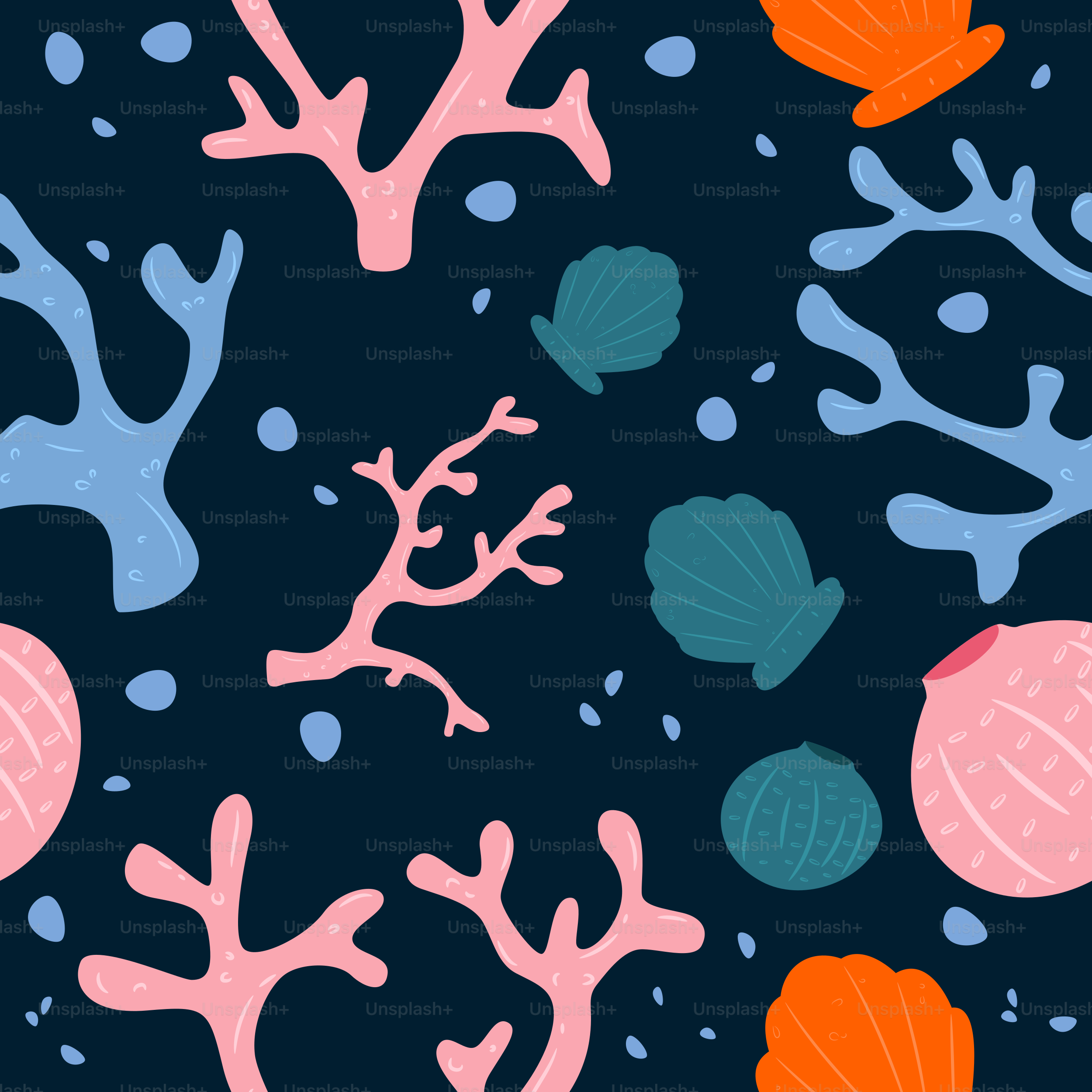 Sea coral and shells create an underwater pattern. vector – Sea Image on  Unsplash, image size:3000x3000