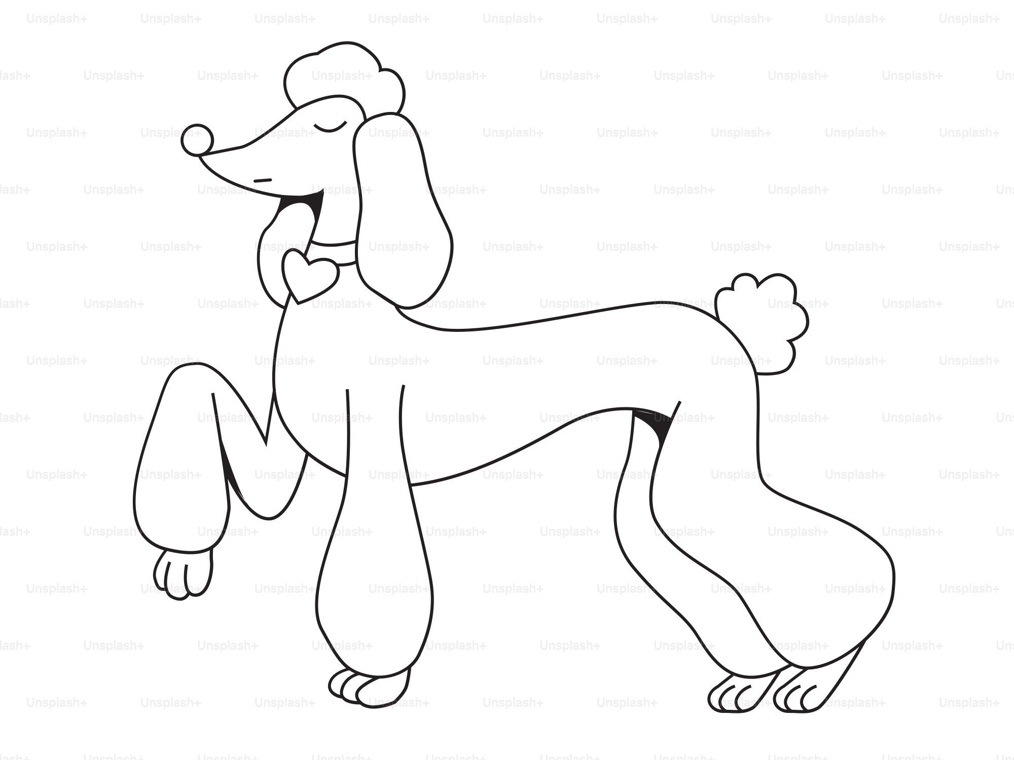 An elegant poodle is posing with grace.