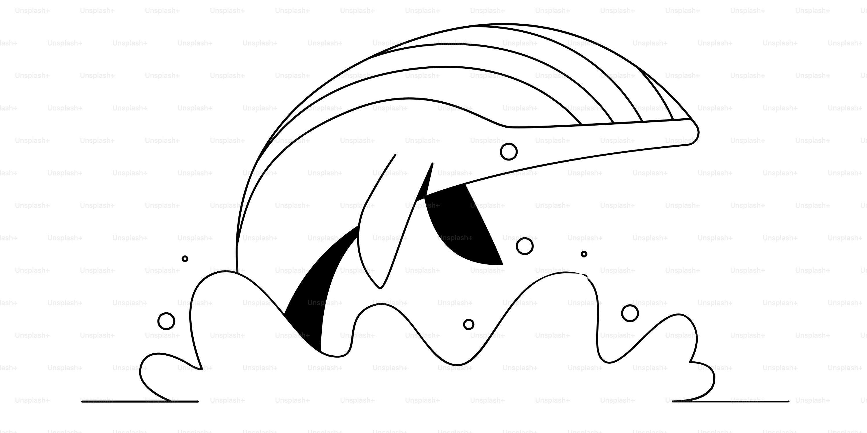 A dolphin jumps out of the water.