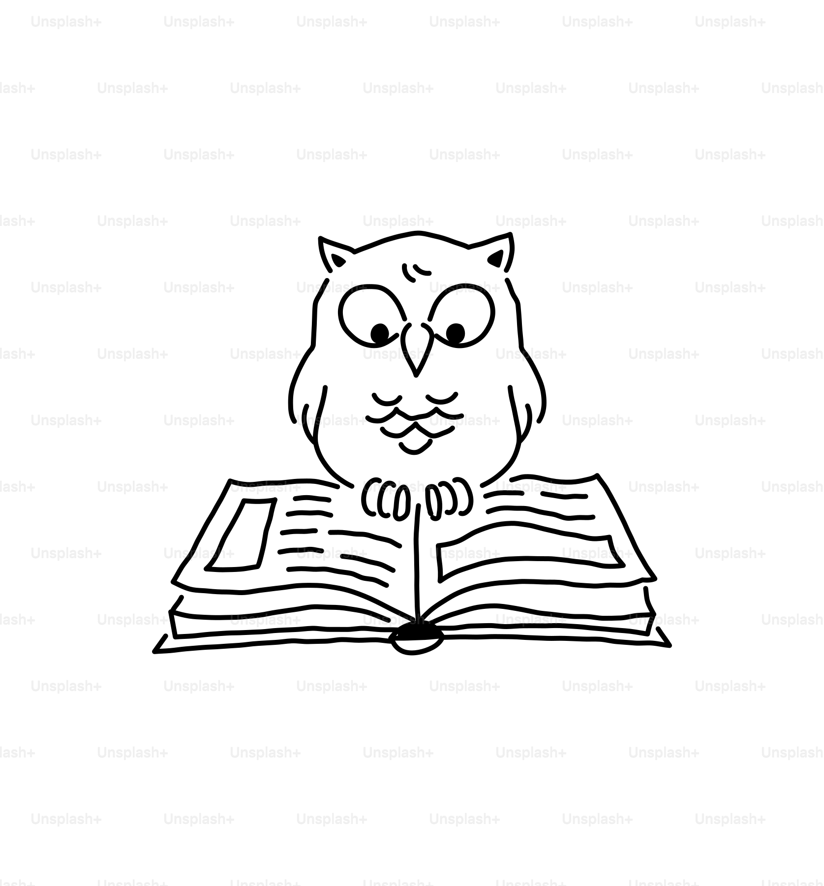 Eine Eule liest ein Buch. Vektor – Bild zum Thema Tier auf Unsplash, image size:3000x3223