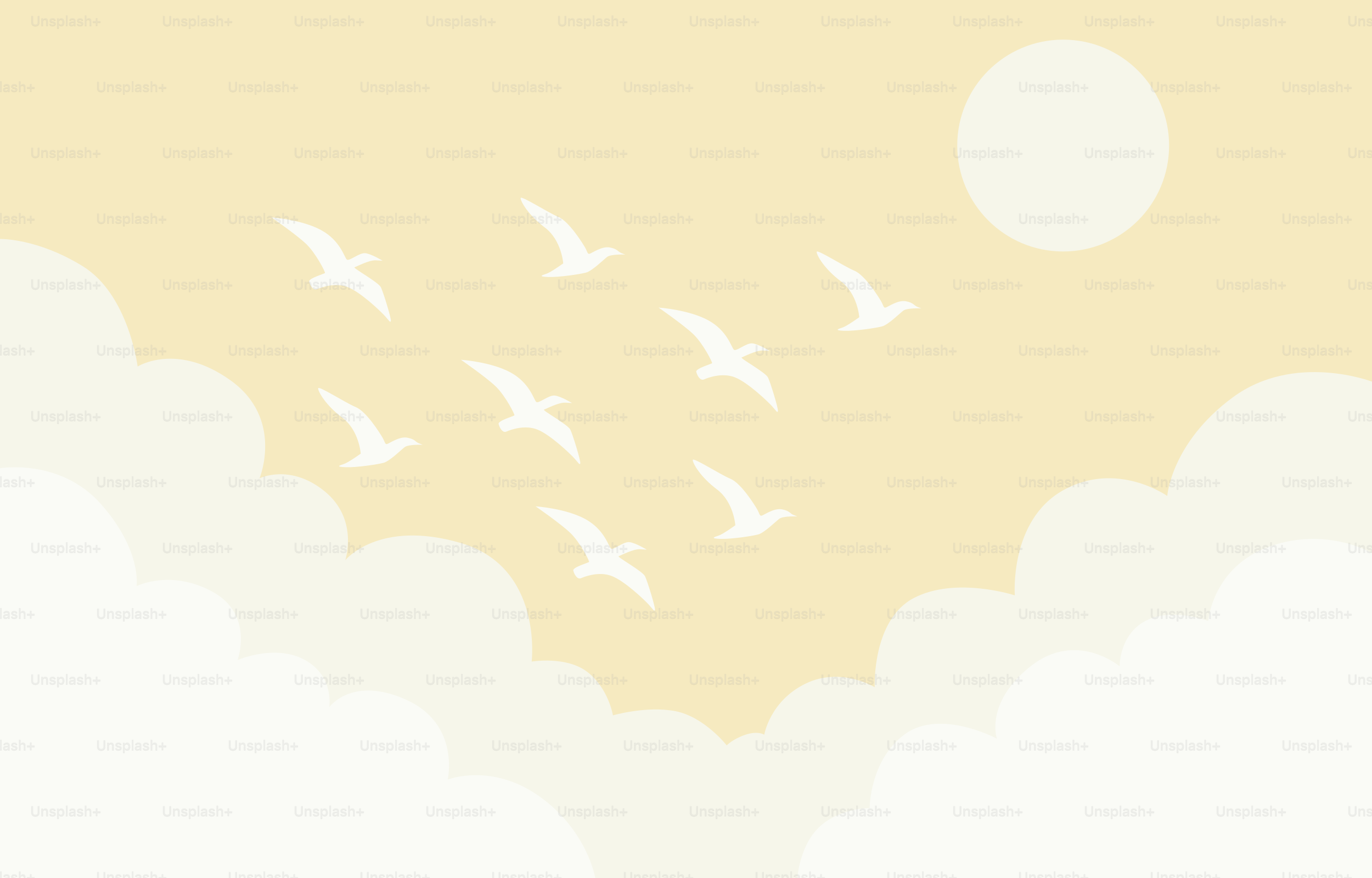 Birds fly in formation towards the sun.