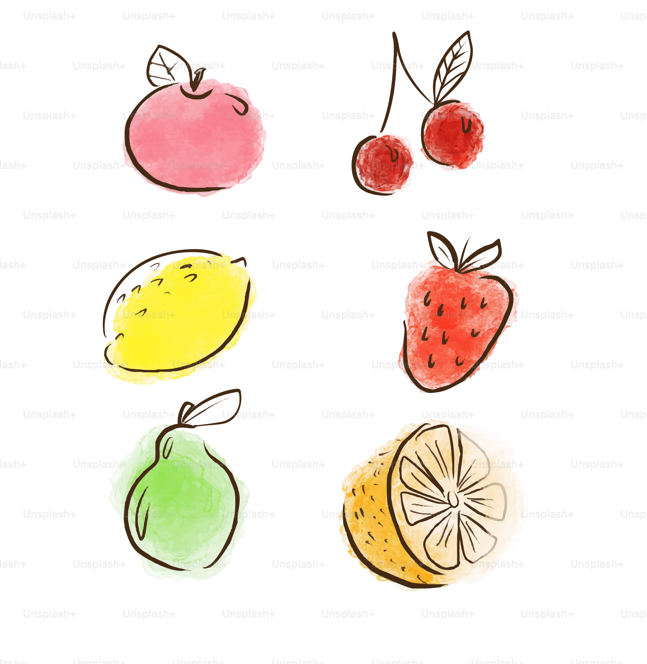 Watercolor fruits in different colors are shown.
