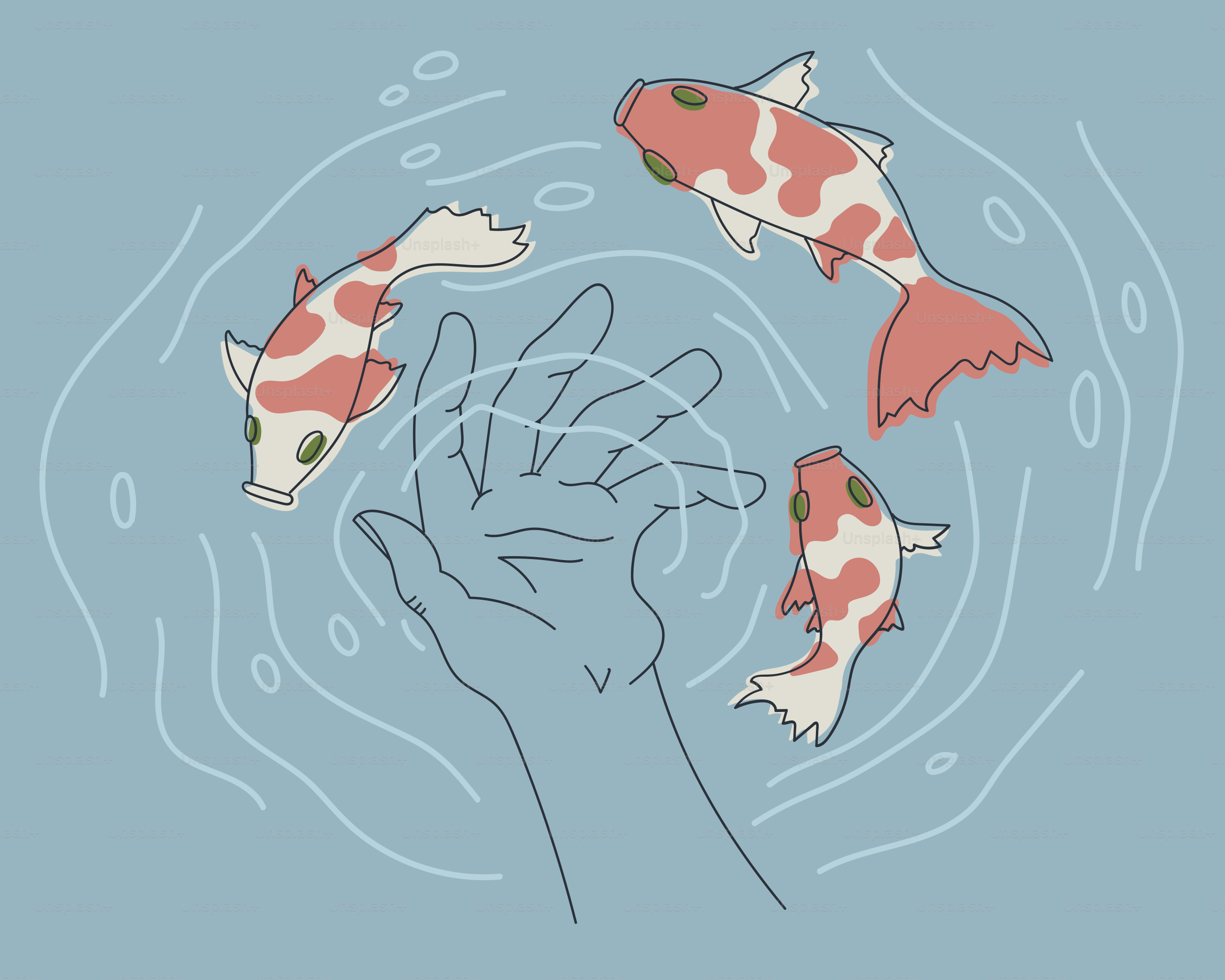 Hand in water surrounded by koi fish.