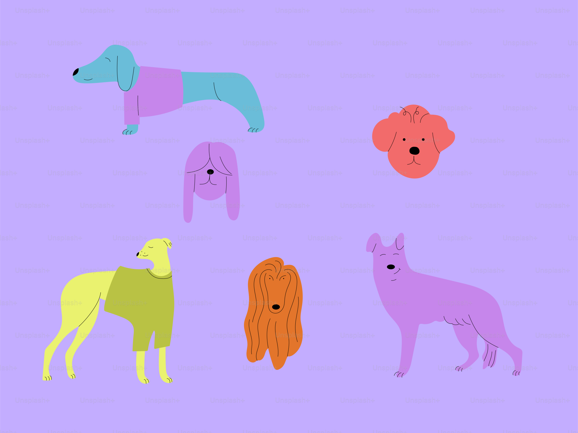 Bunte und stilisierte Illustrationen verschiedener Hunde.