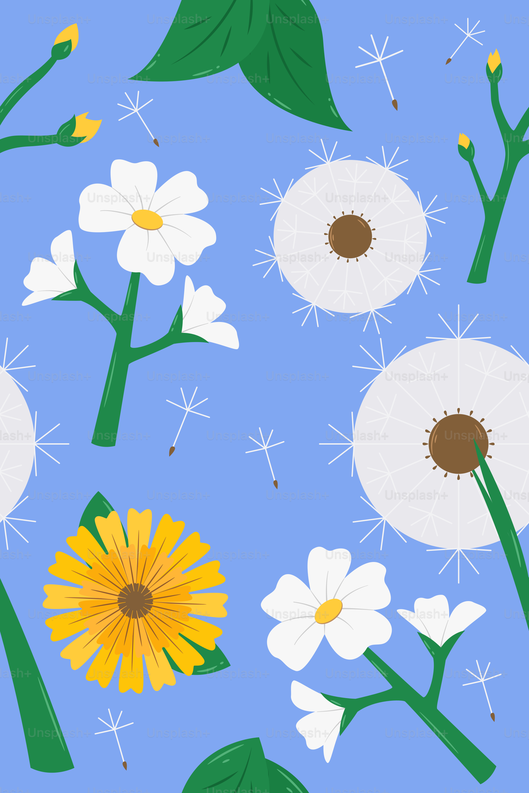 白と黄色の花が花柄で描かれています。