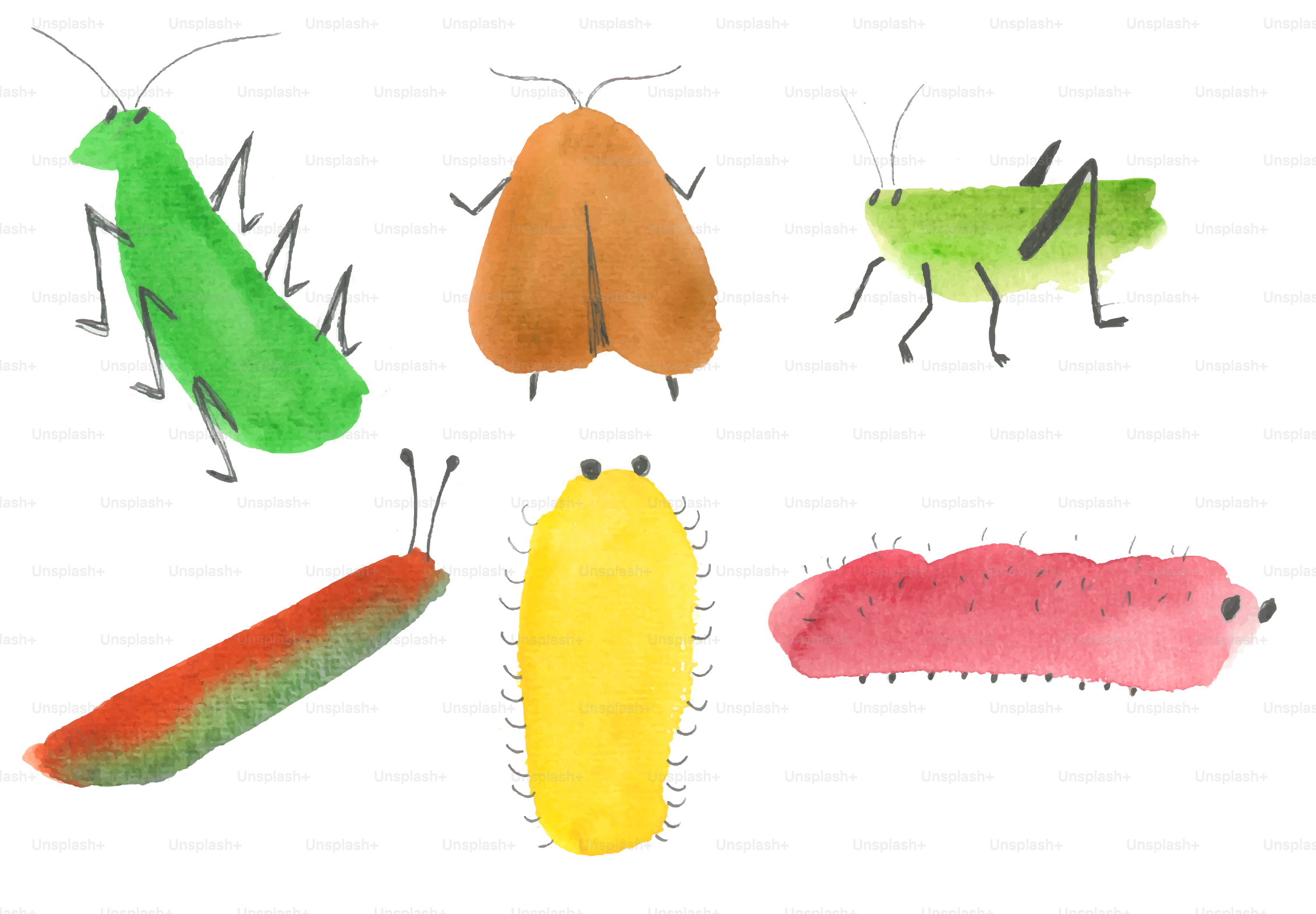 Watercolor illustrations of various colorful insects are shown. vector ...