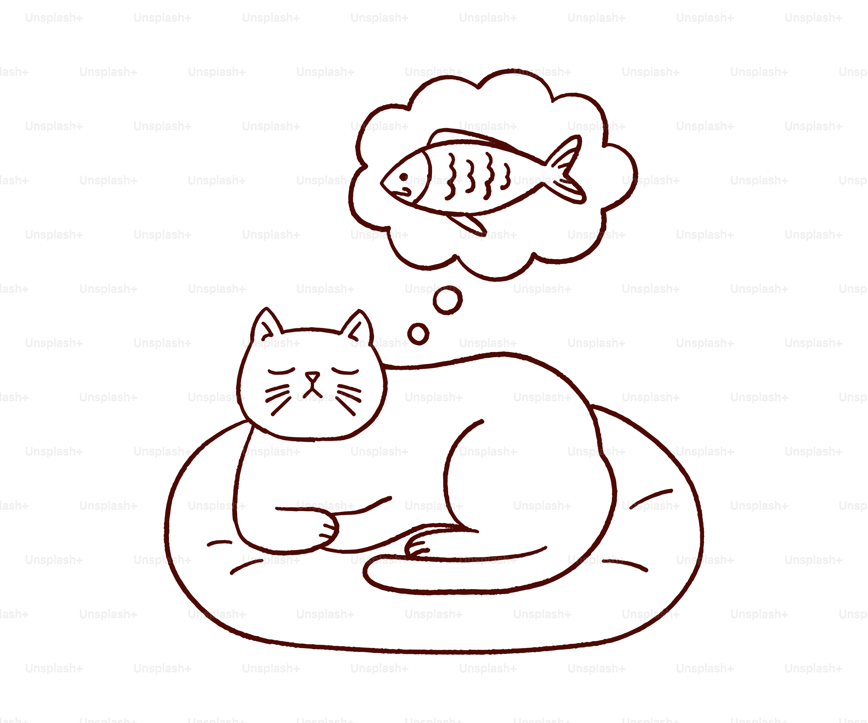 The cat dreams of fish.