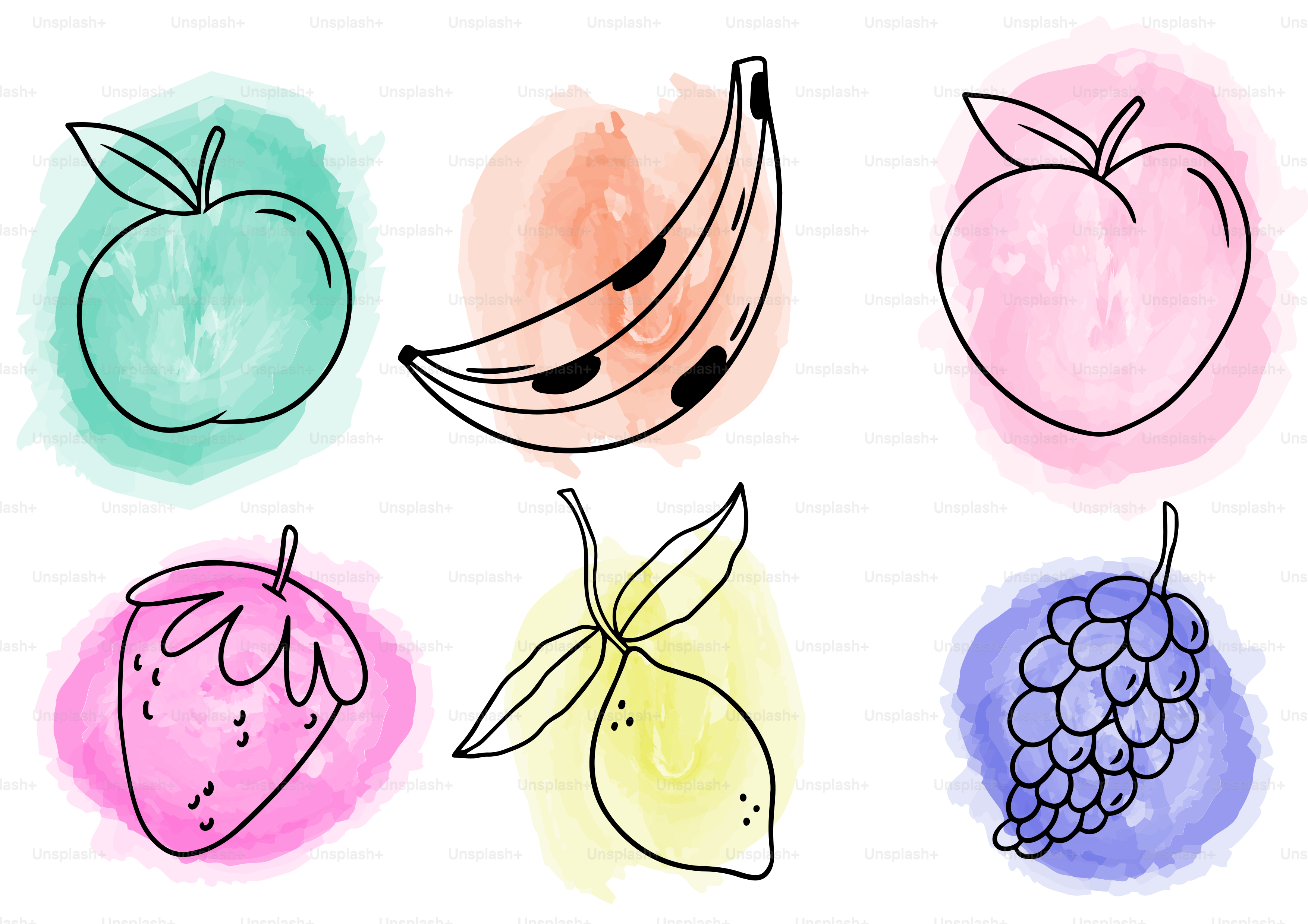 Vari frutti sono disegnati con sfondi ad acquerello