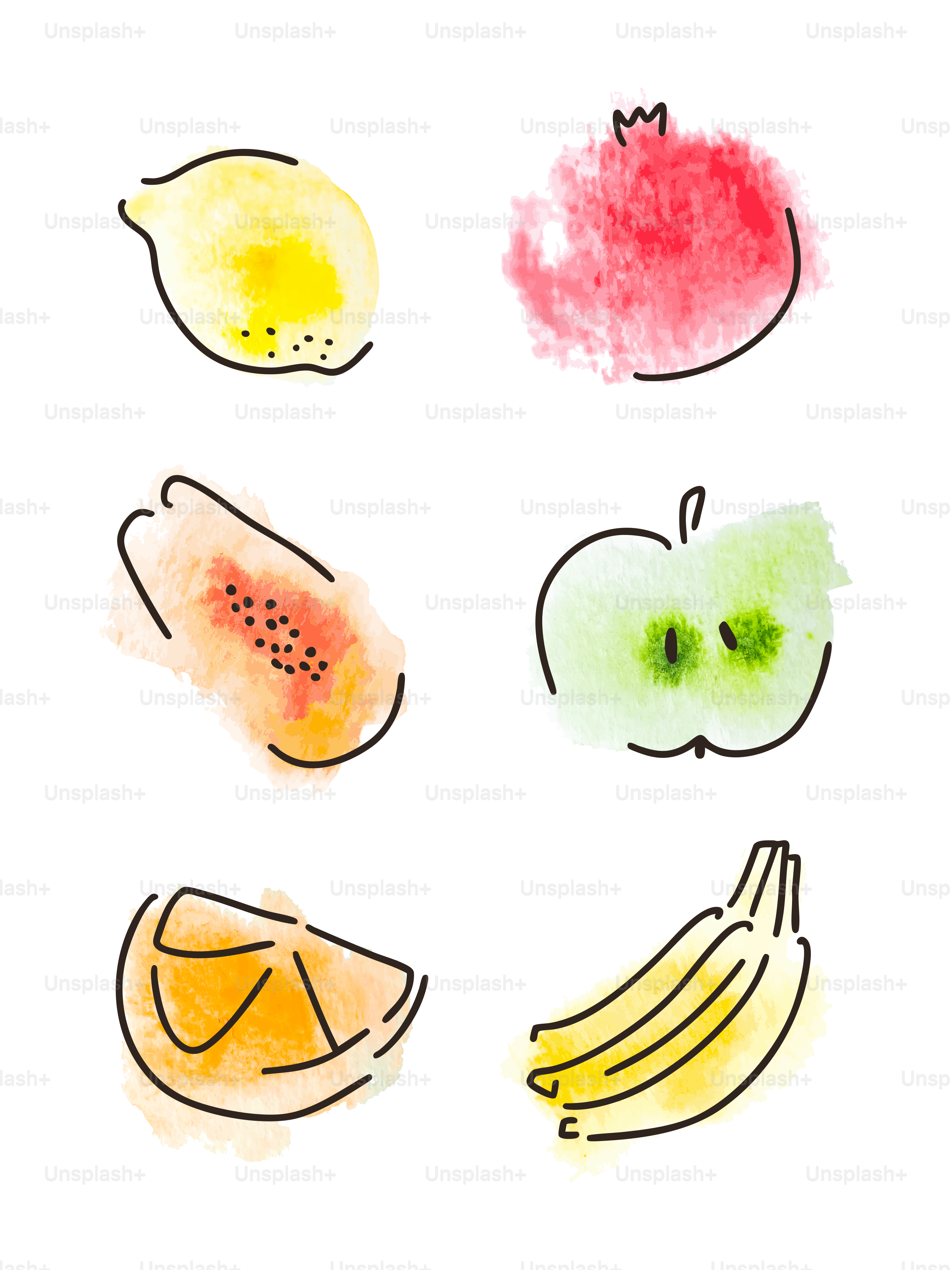 Illustrations de fruits à l’aquarelle sur fond blanc.