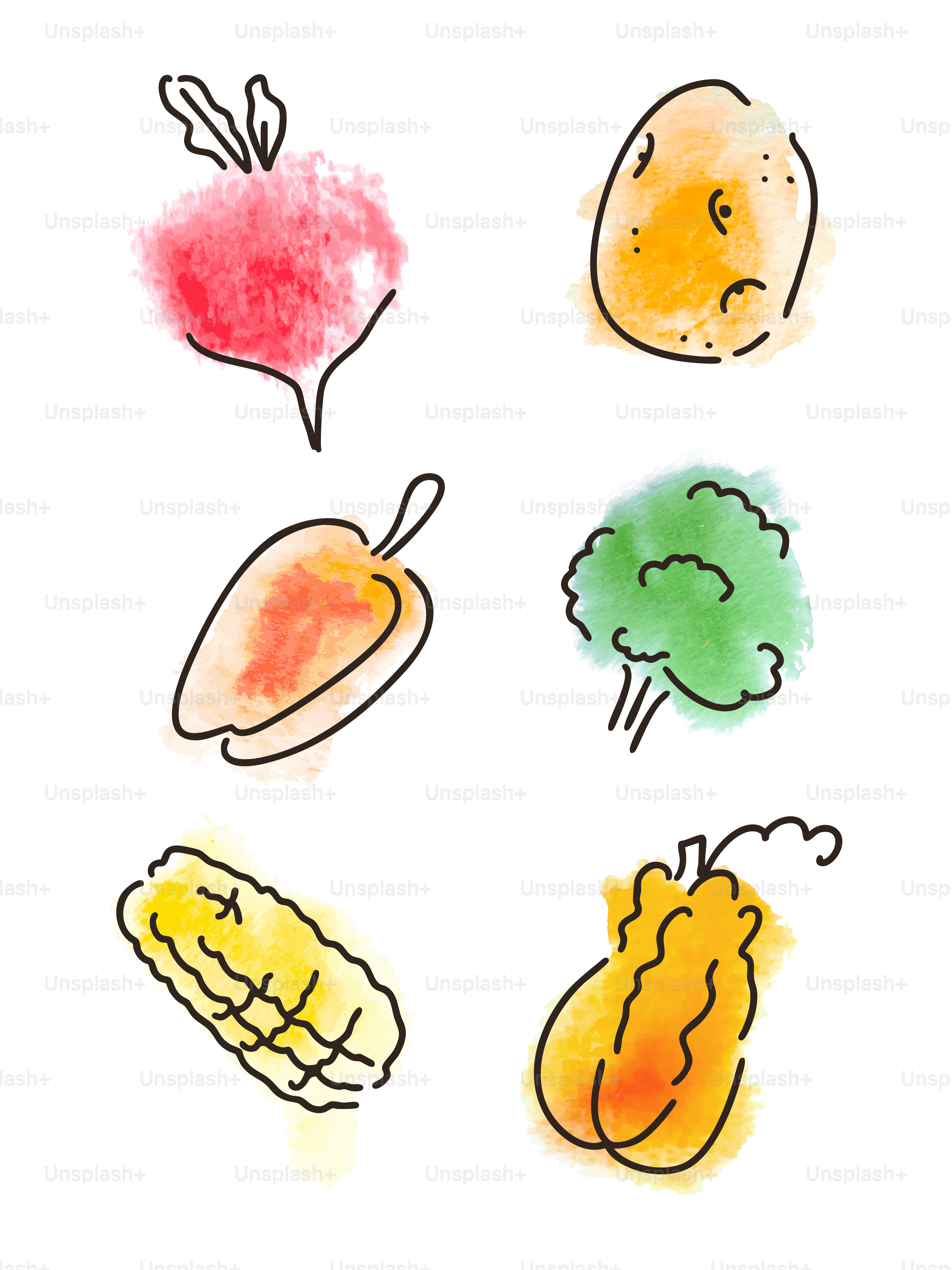 Des légumes aquarelles colorés sont représentés dans cette illustration.