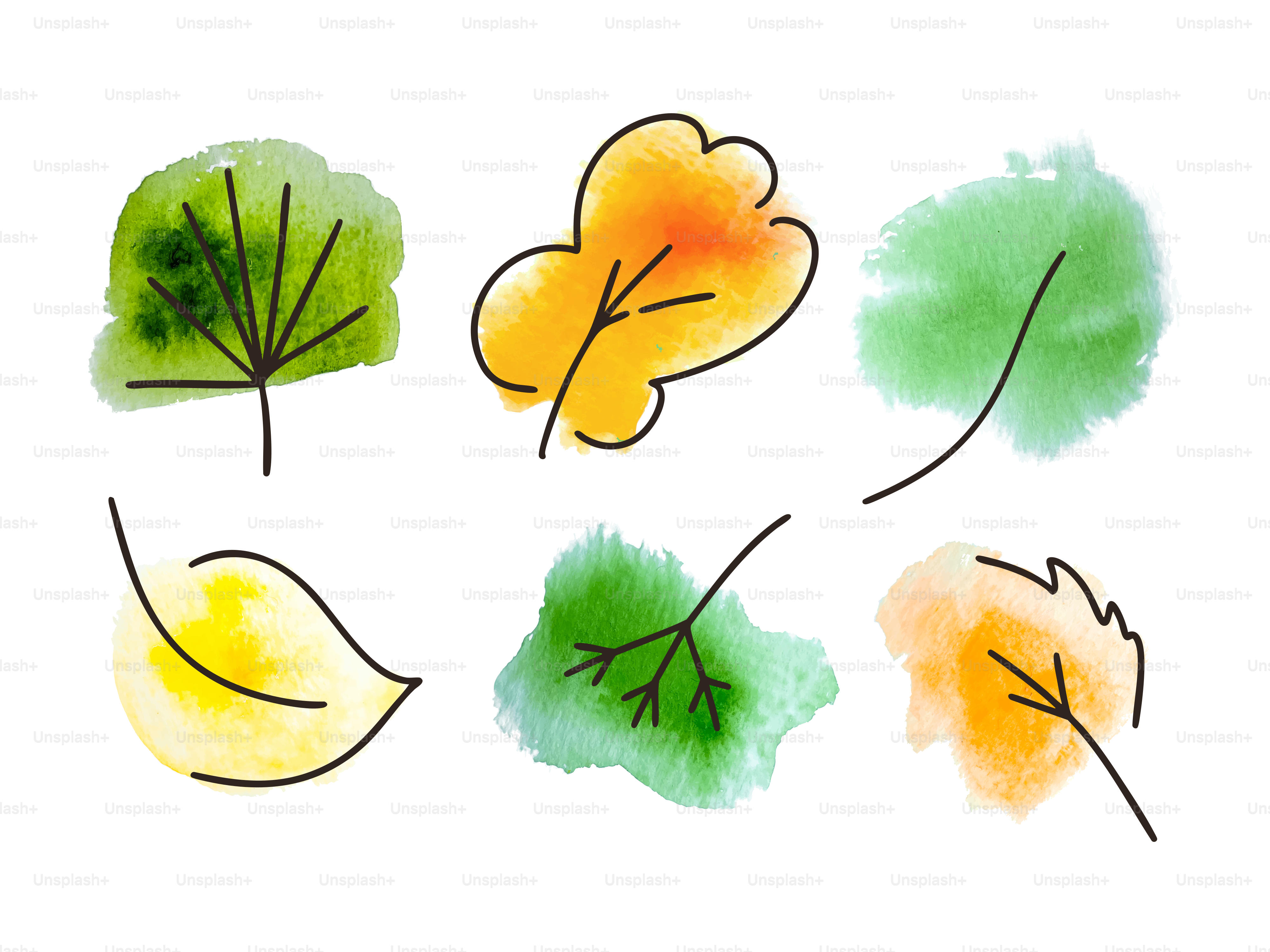 Les feuilles d’aquarelle sont affichées dans des couleurs variées.