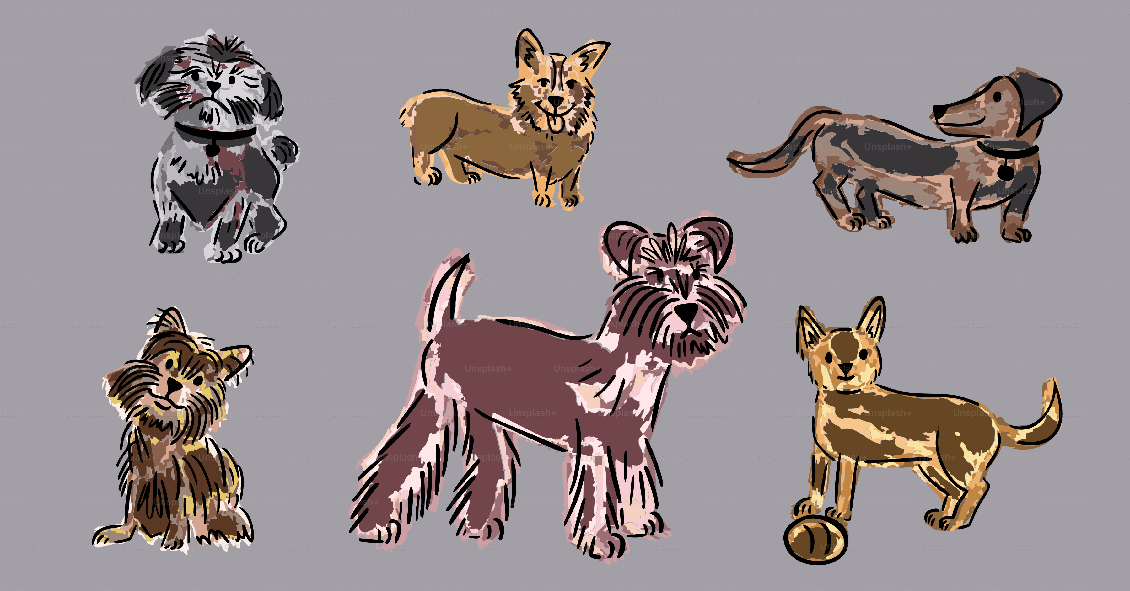Several cartoon dogs in different breeds are shown.