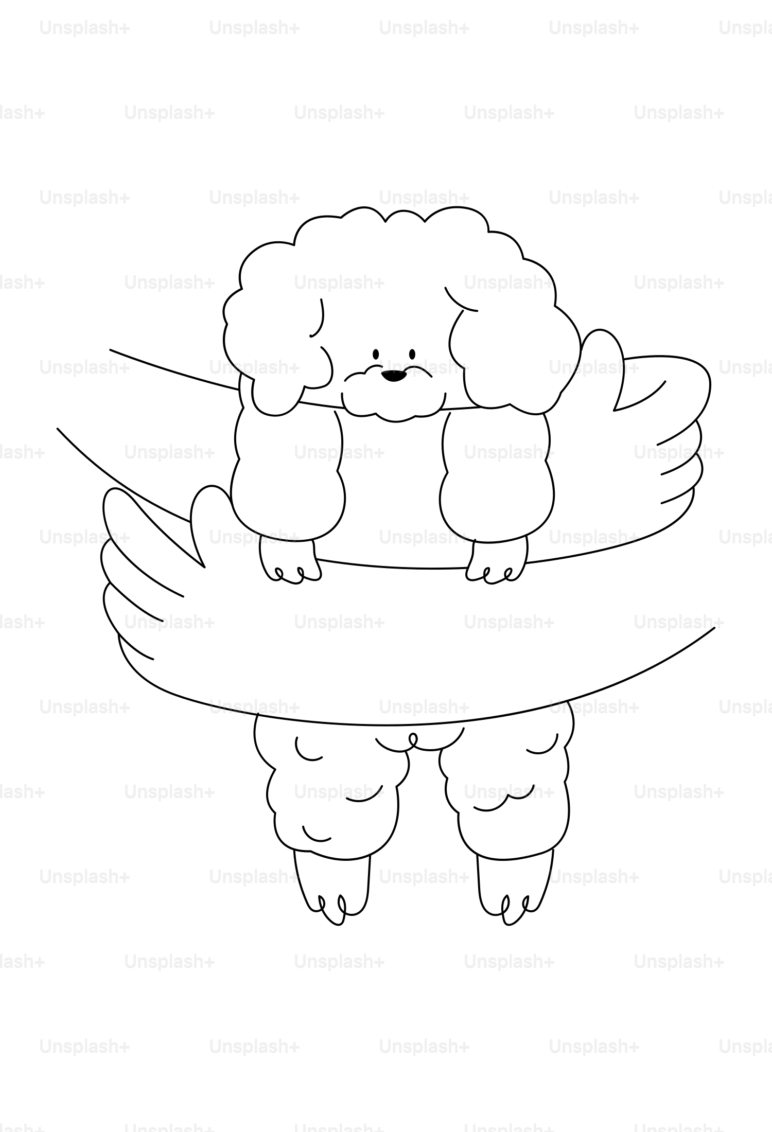 A fluffy dog is comfortably held.