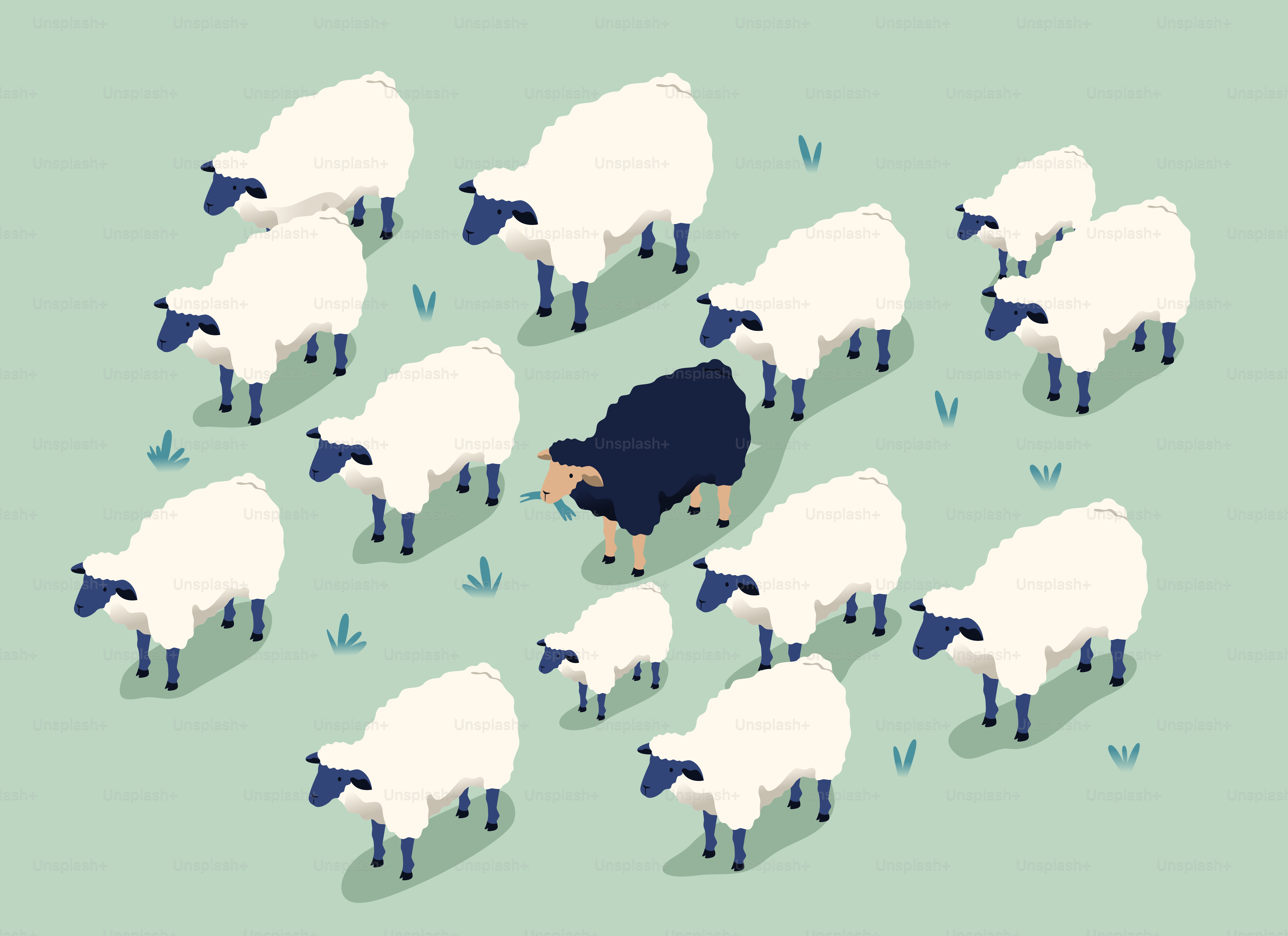 A black sheep stands out in a flock.