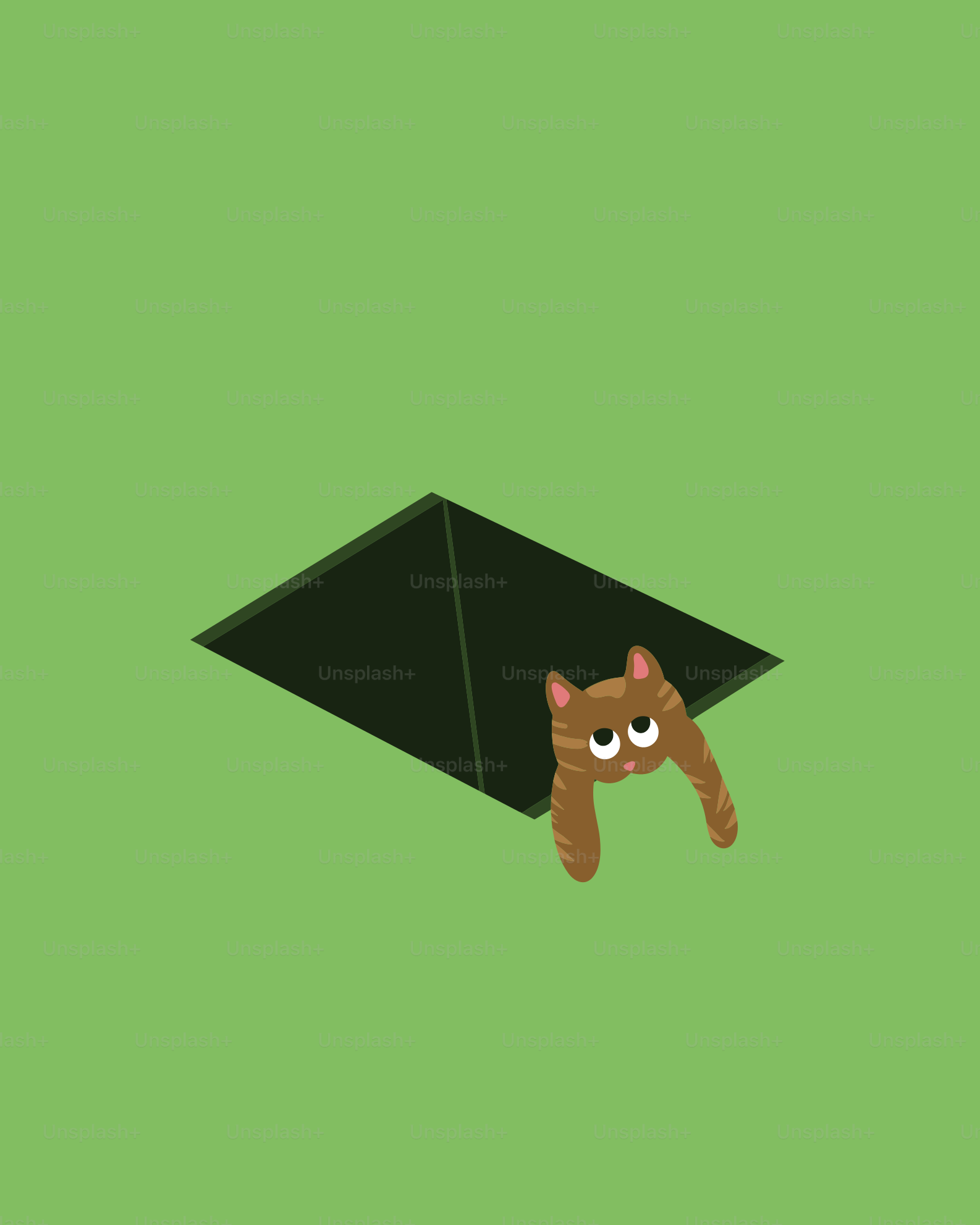 Um gato curioso espreita por um buraco.