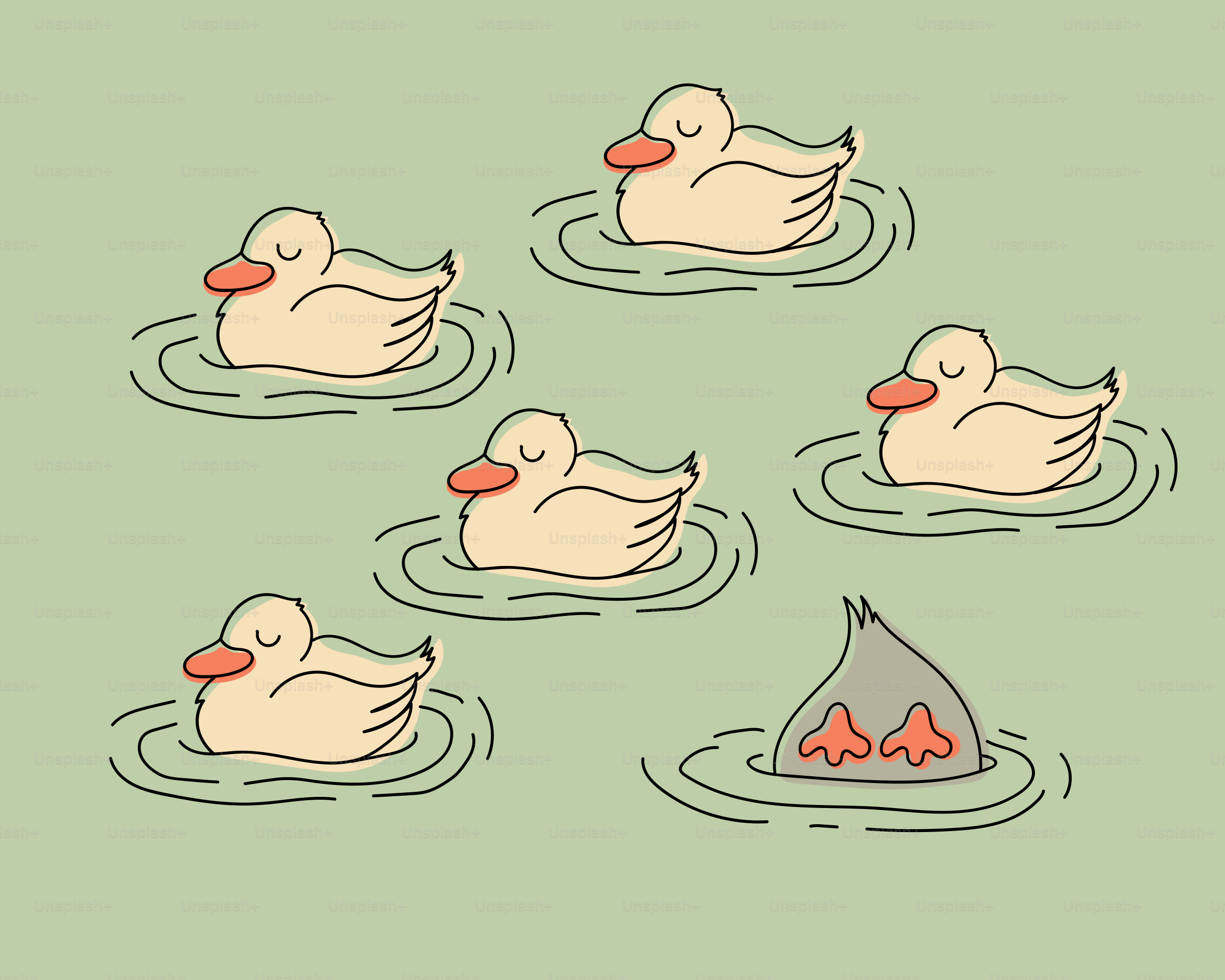 Six canards nagent, un est submergé.
