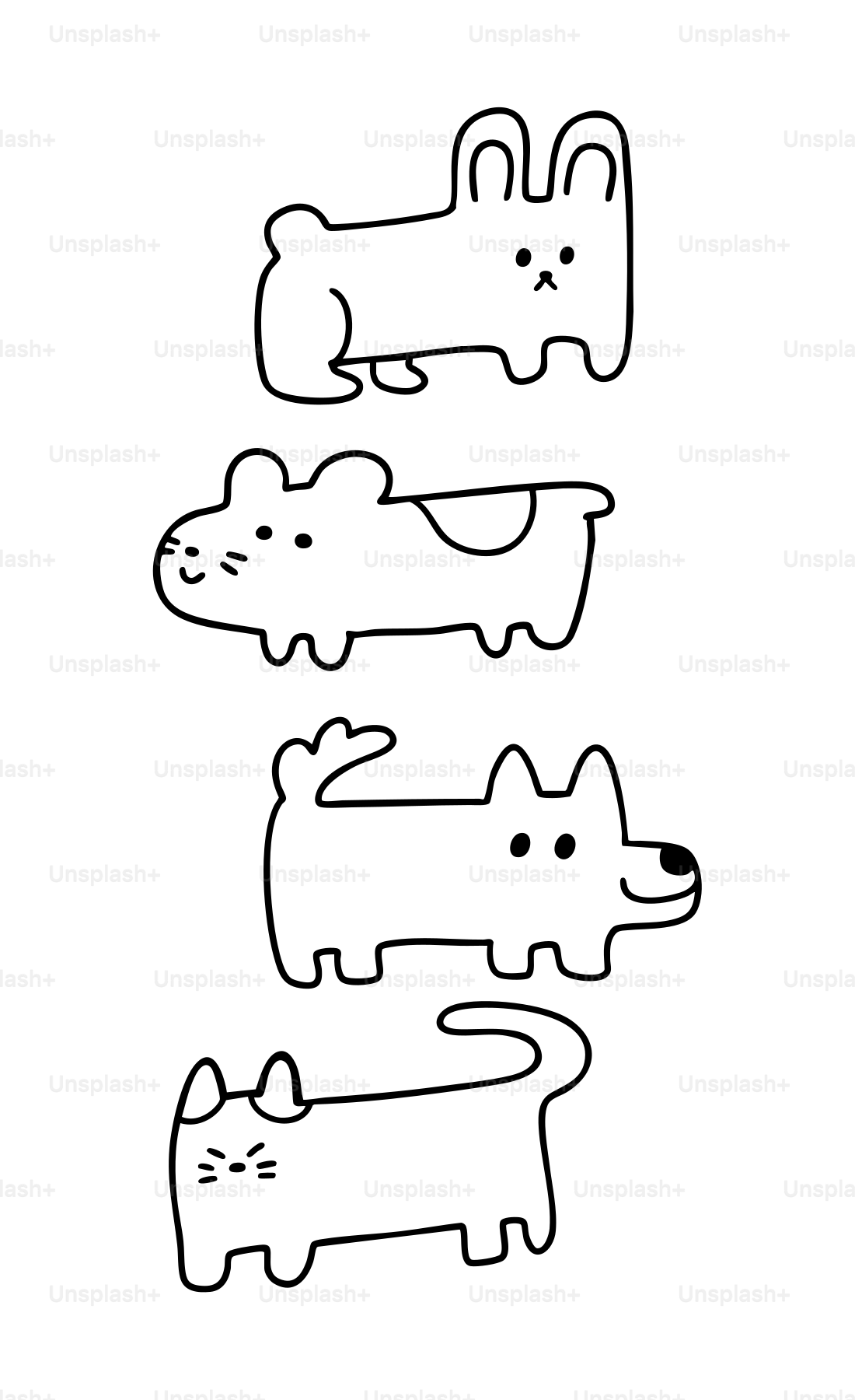 Disegni carini di un coniglio, un topo, un cane e un gatto. vettoriale –  Immagine di Animali su Unsplash, image size:3000x4909