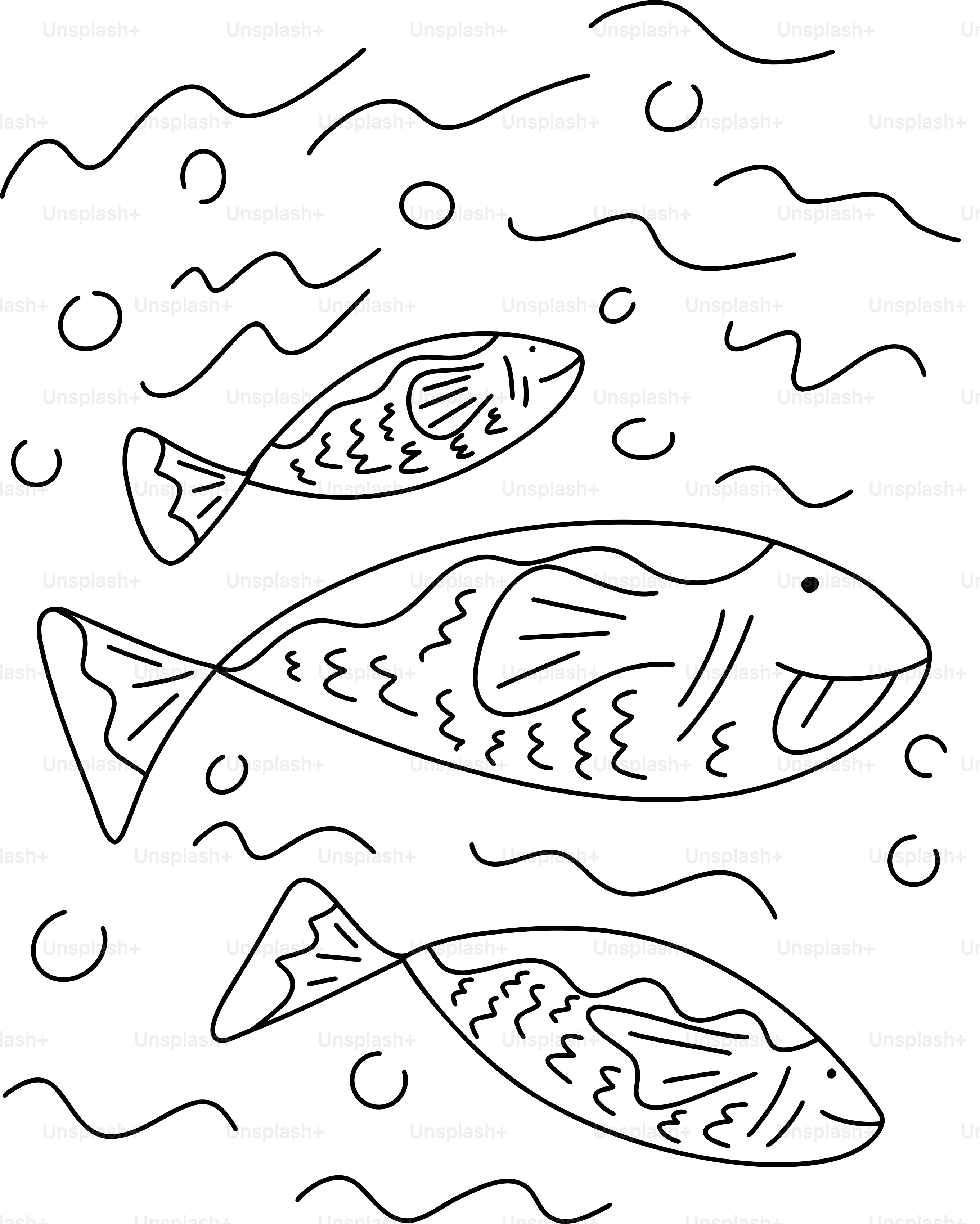 Three fish swim in the ocean.