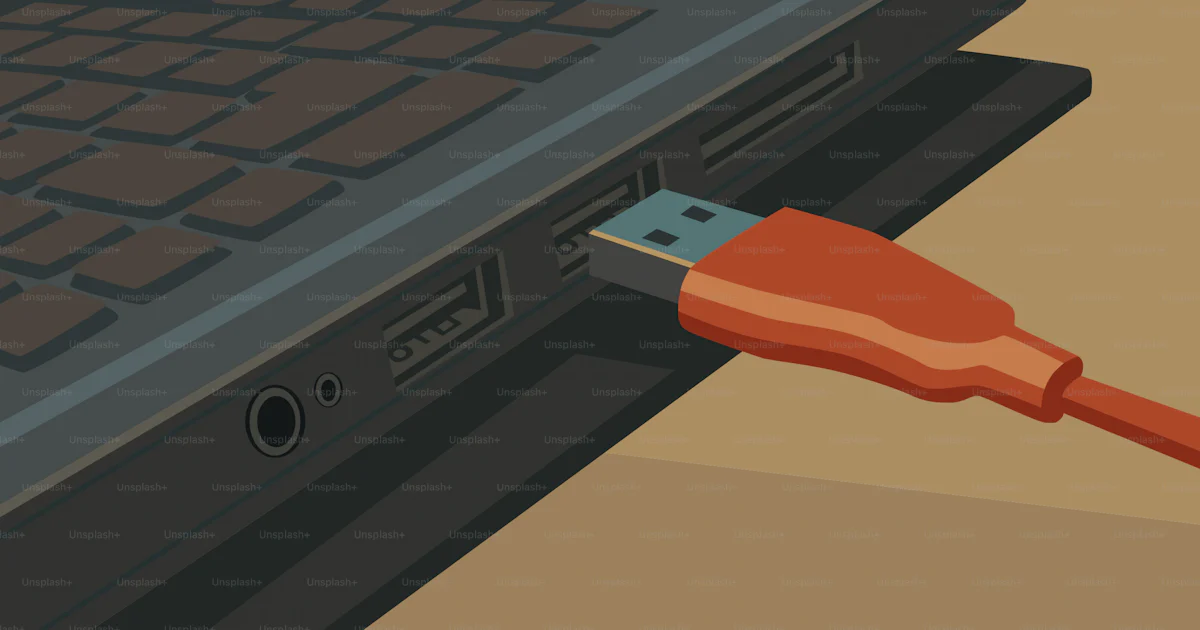 Usb Plugged Into Computer Front Usb cable is plugged into a laptop. vector – Data Image on Unsplash