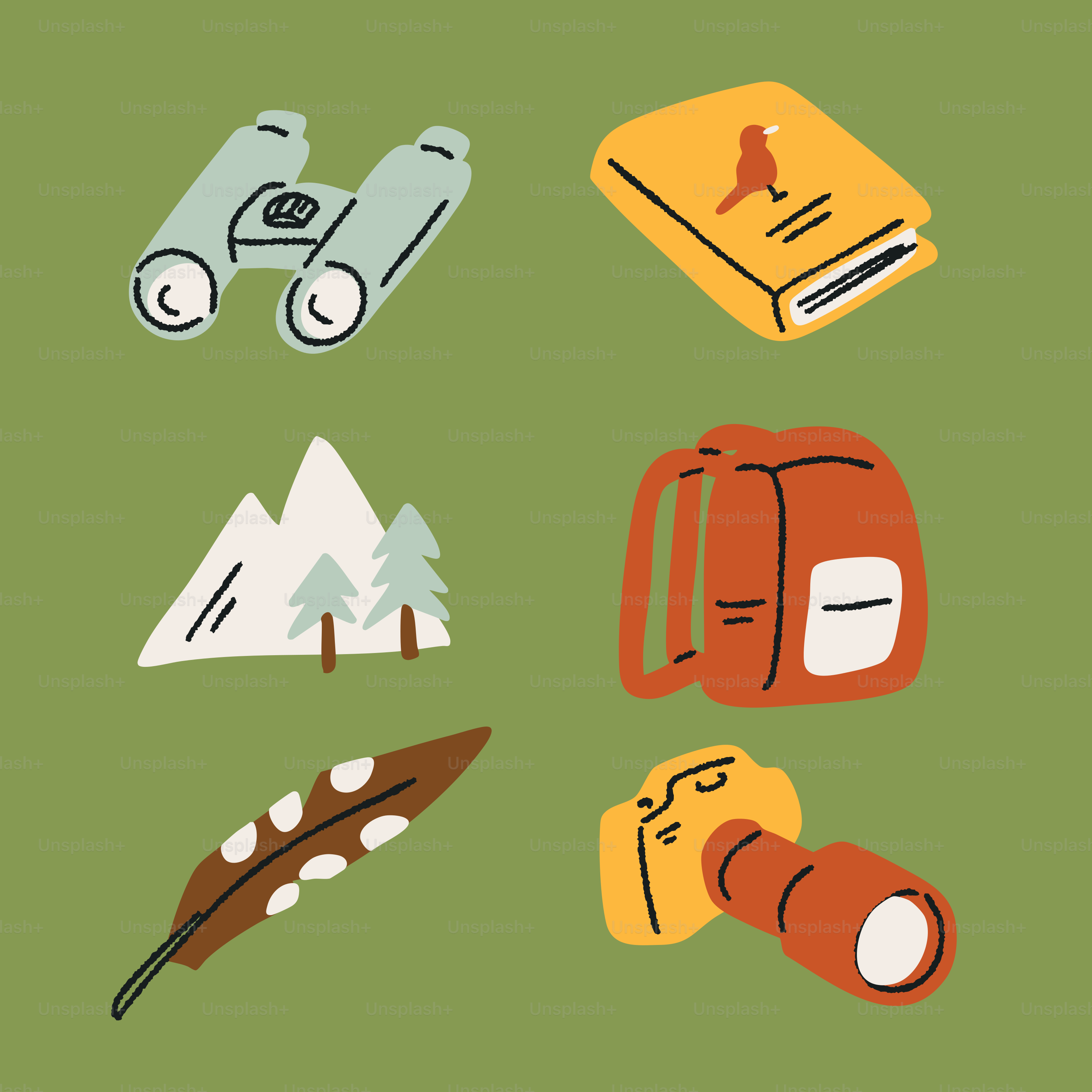 Des outils et des fournitures d’aventure en plein air sont présentés.