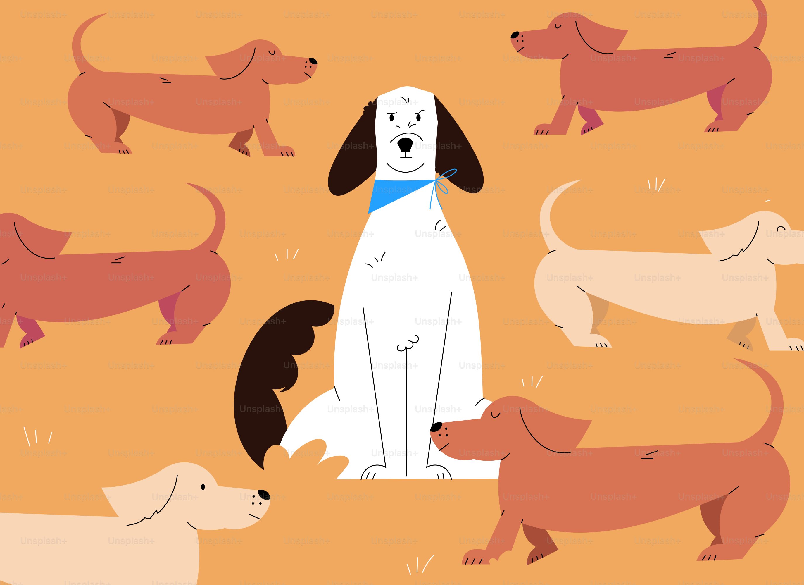 A white dog surrounded by dachshunds.