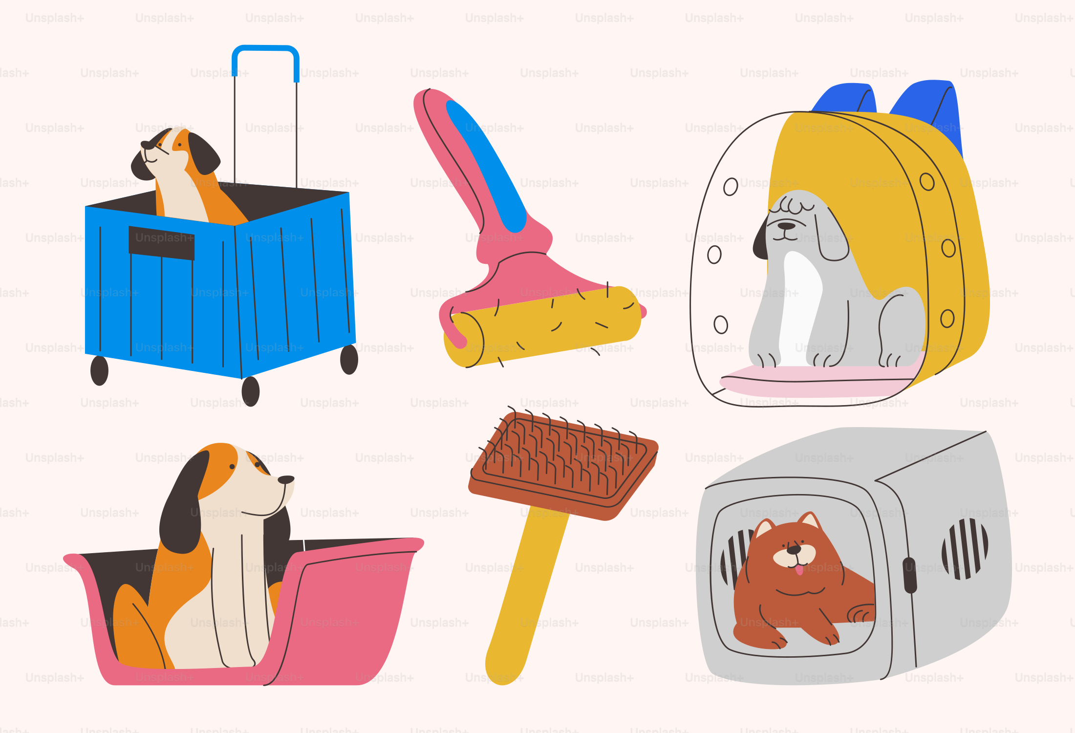 Dogs and their accessories are shown in this image.