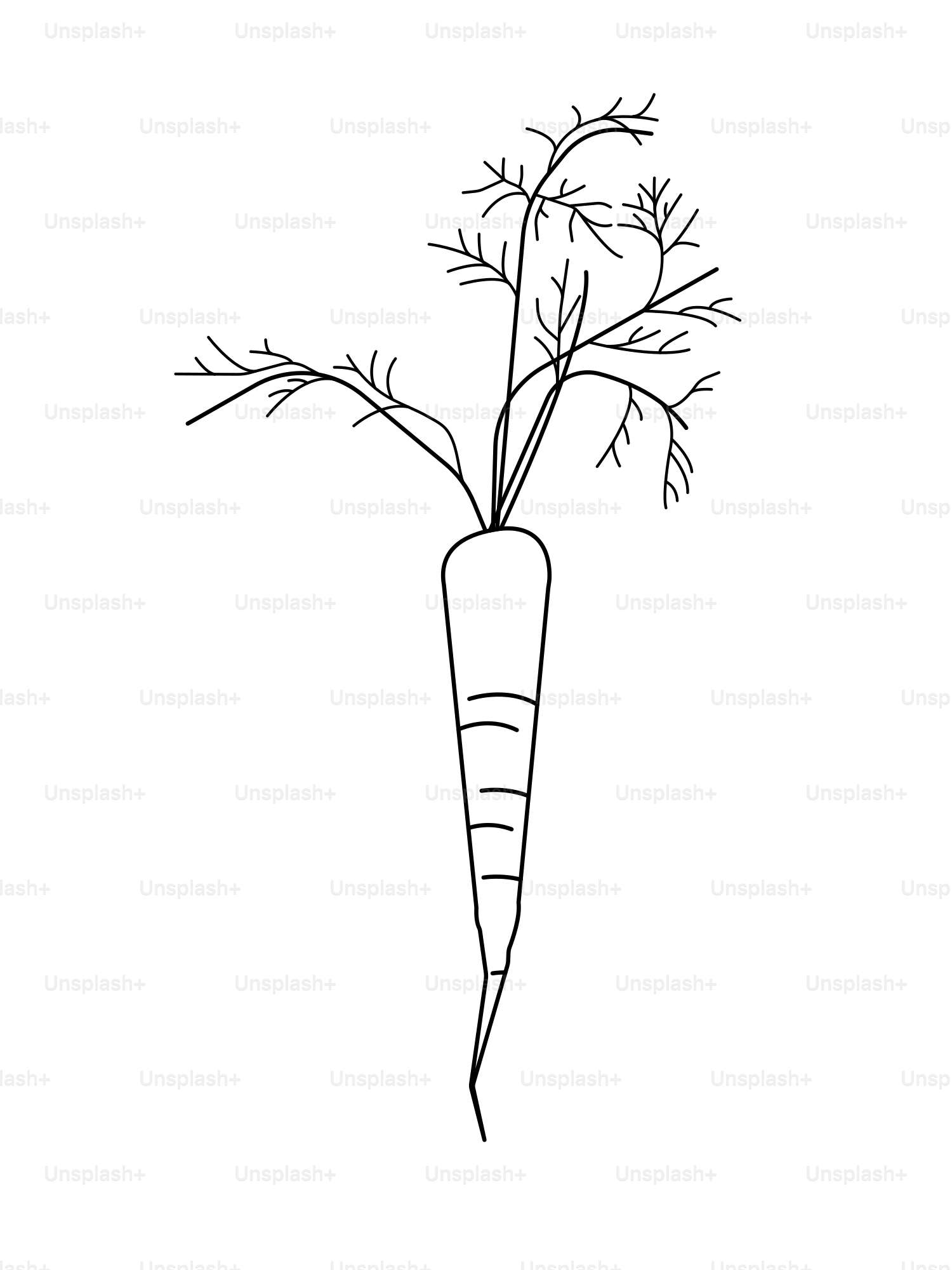 Aquí tienes un dibujo lineal de una zanahoria.