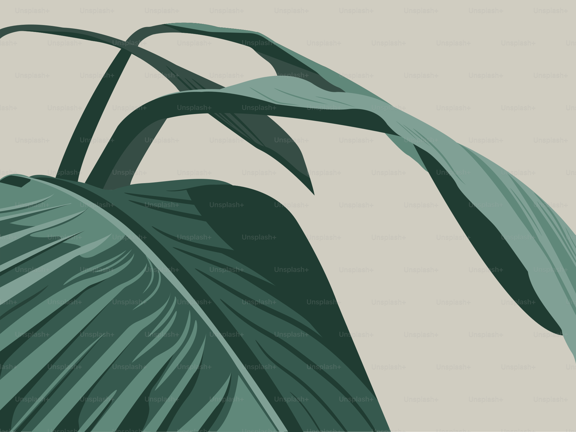 Se pueden ver grandes hojas verdes sobre un fondo beige.