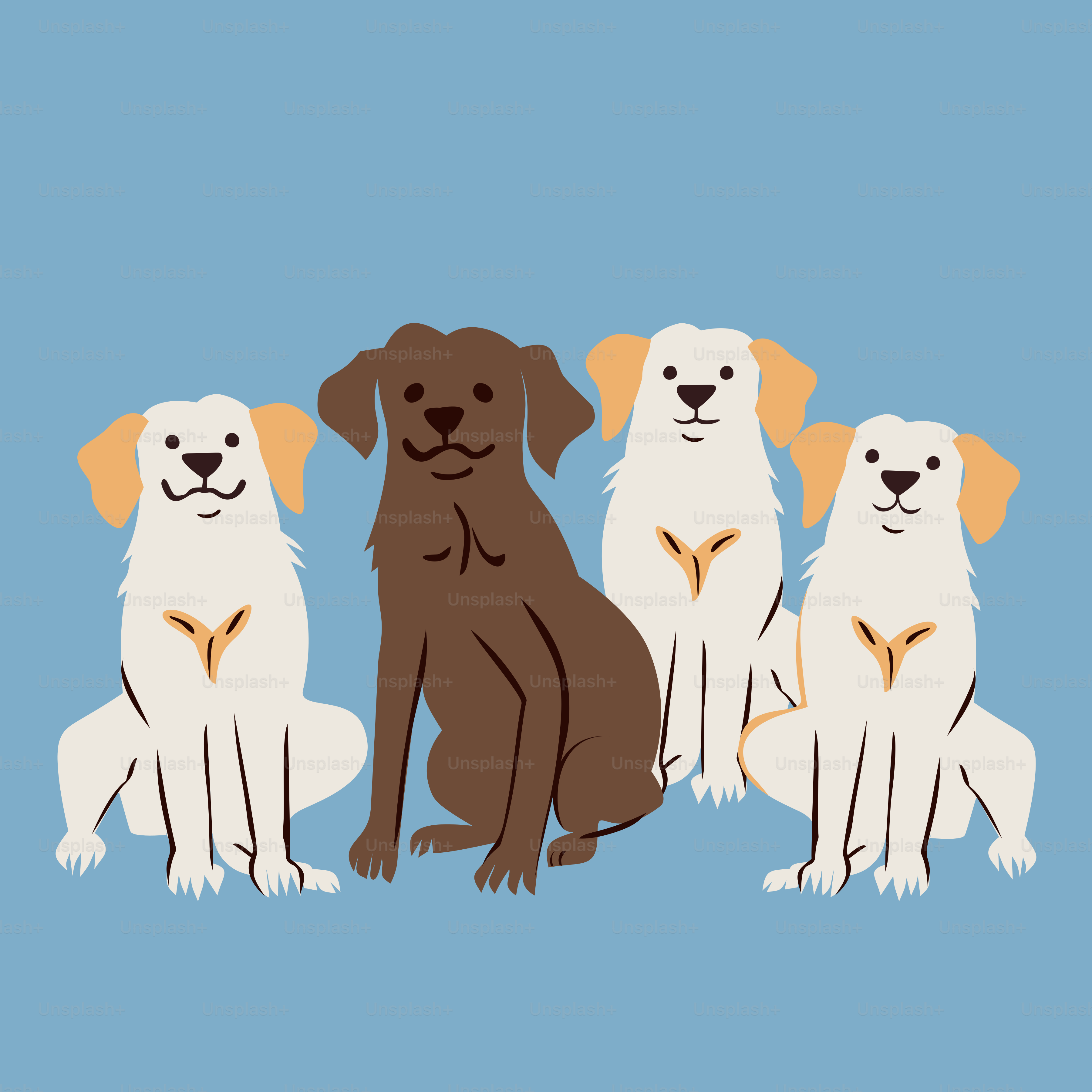 Four dogs, one brown and three golden, sit together.