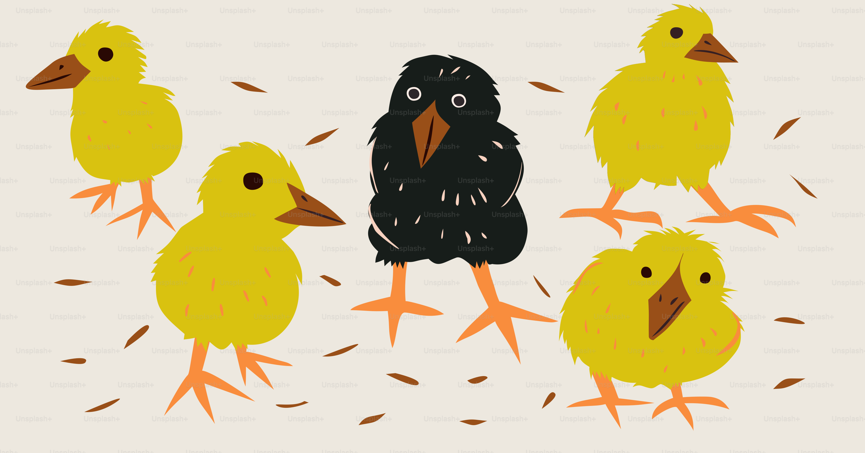 A dark chick stands with its yellow friends.