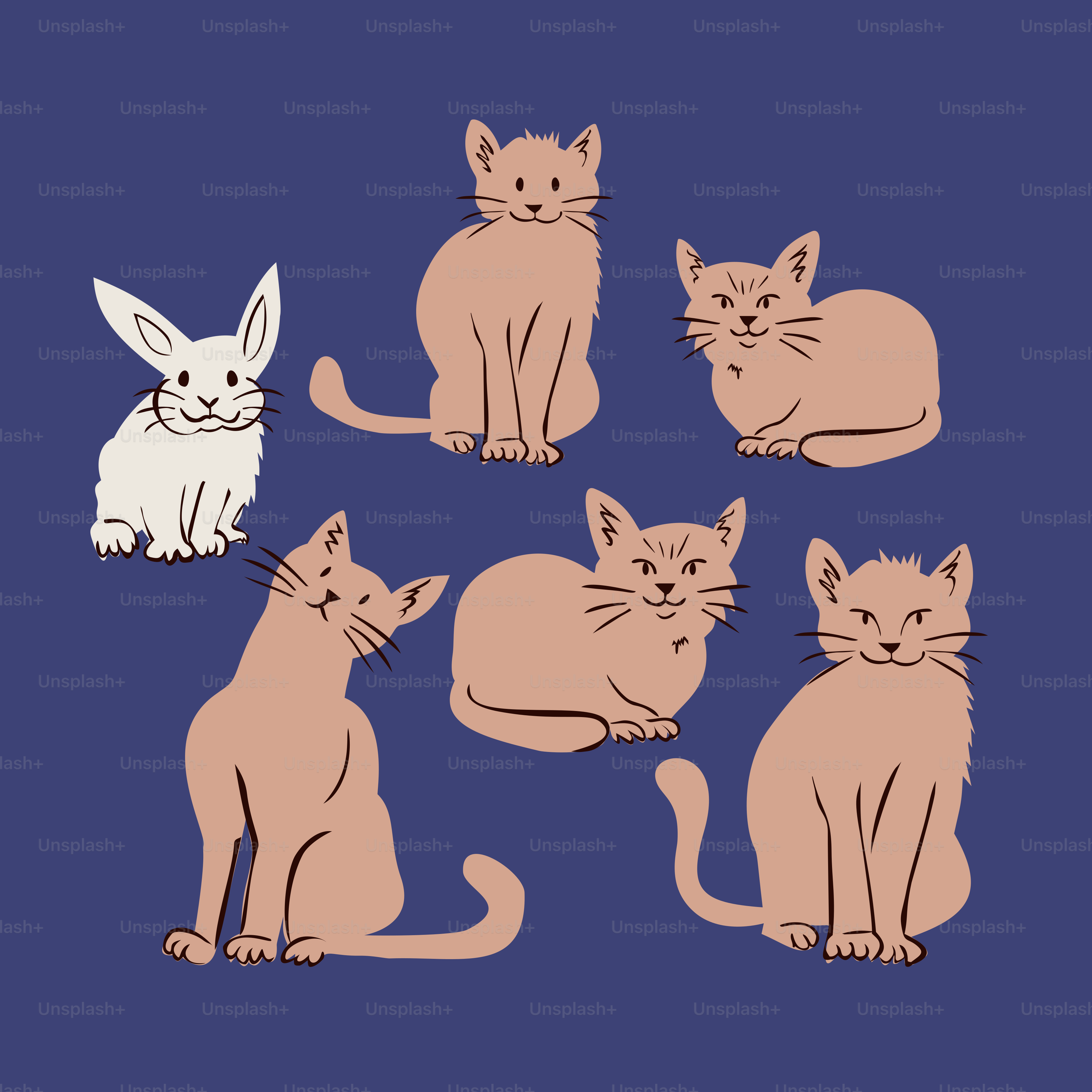 A bunny and several cats on a blue background.