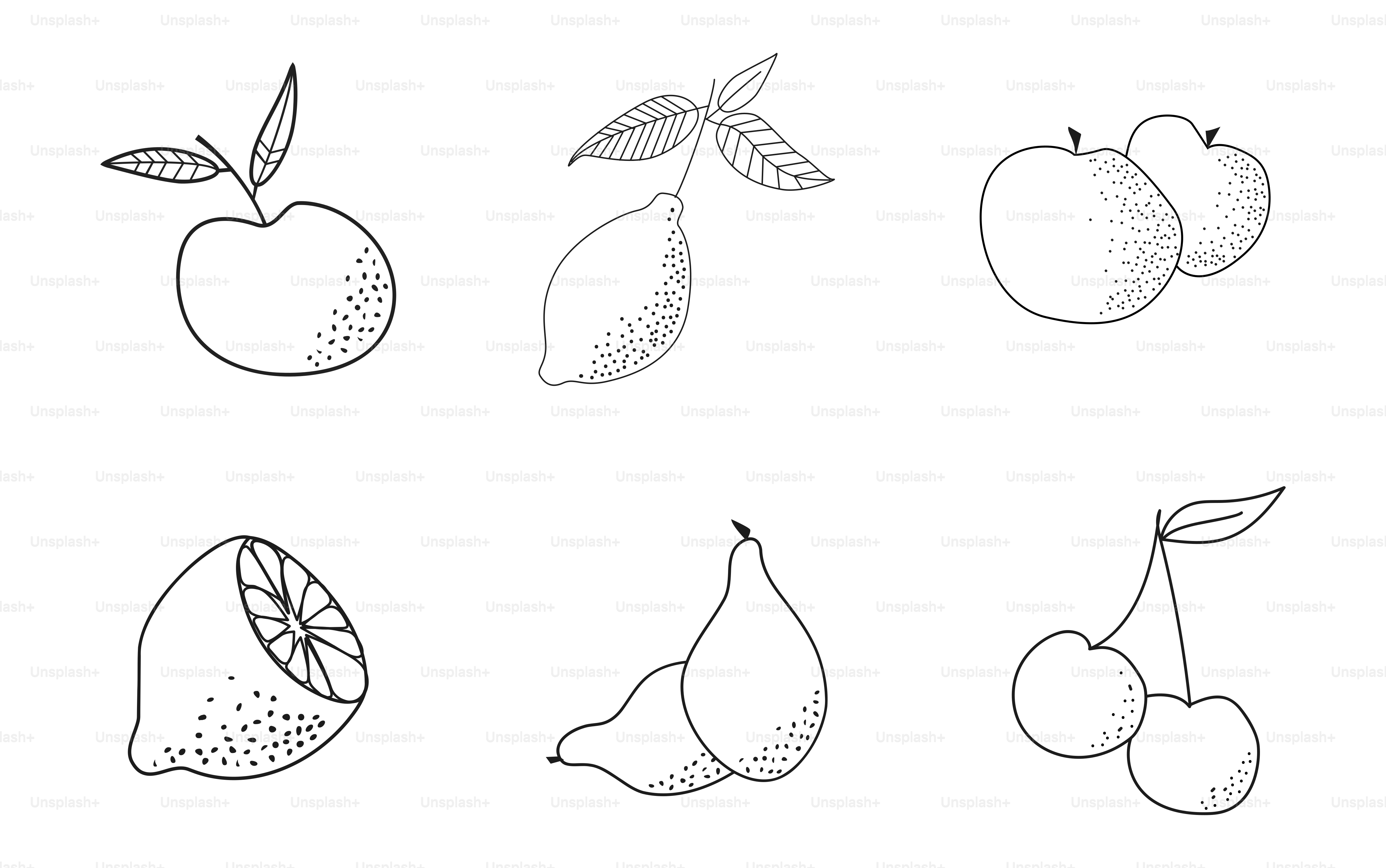 Line art of different fruits is displayed.