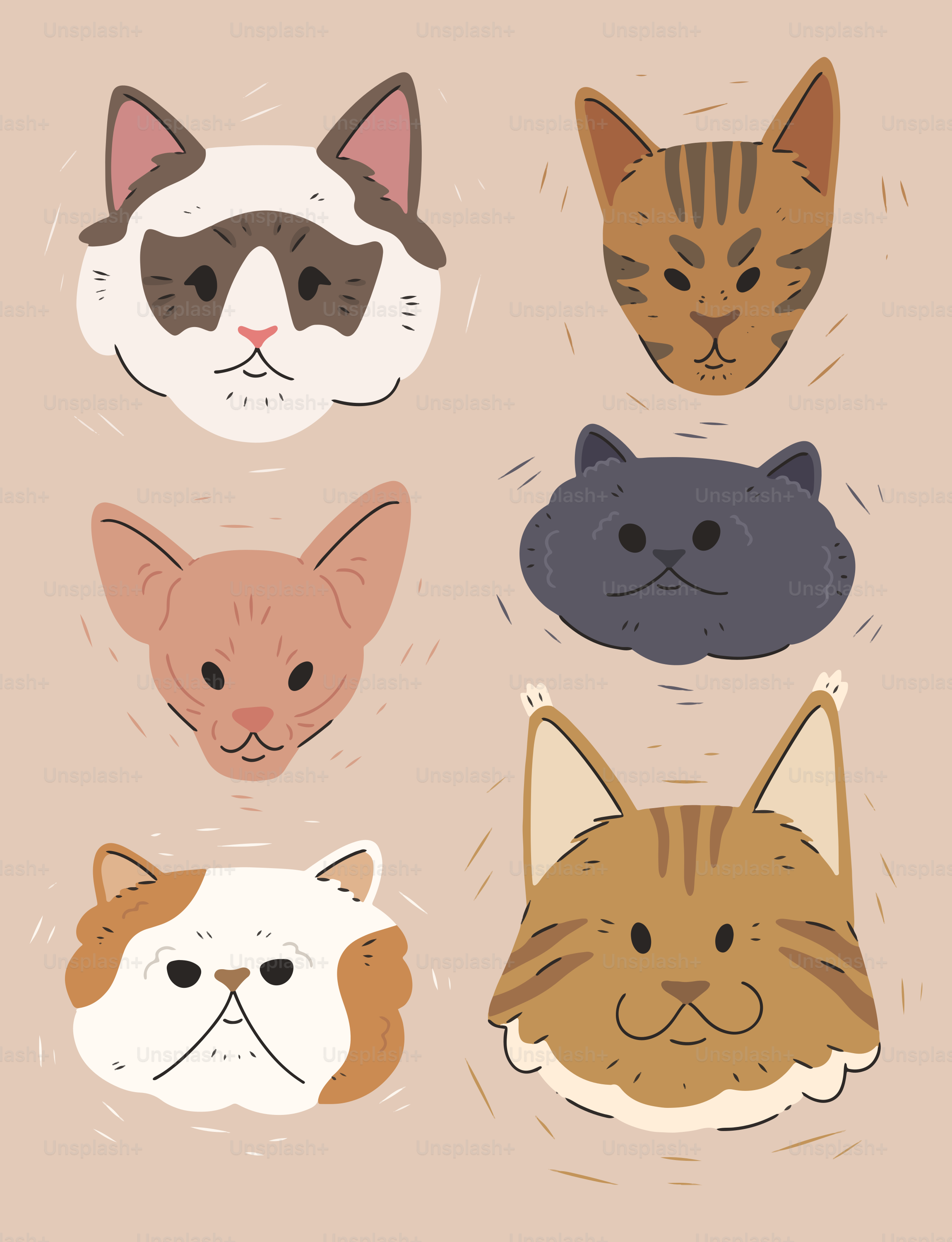 Cat faces of different breeds are displayed.