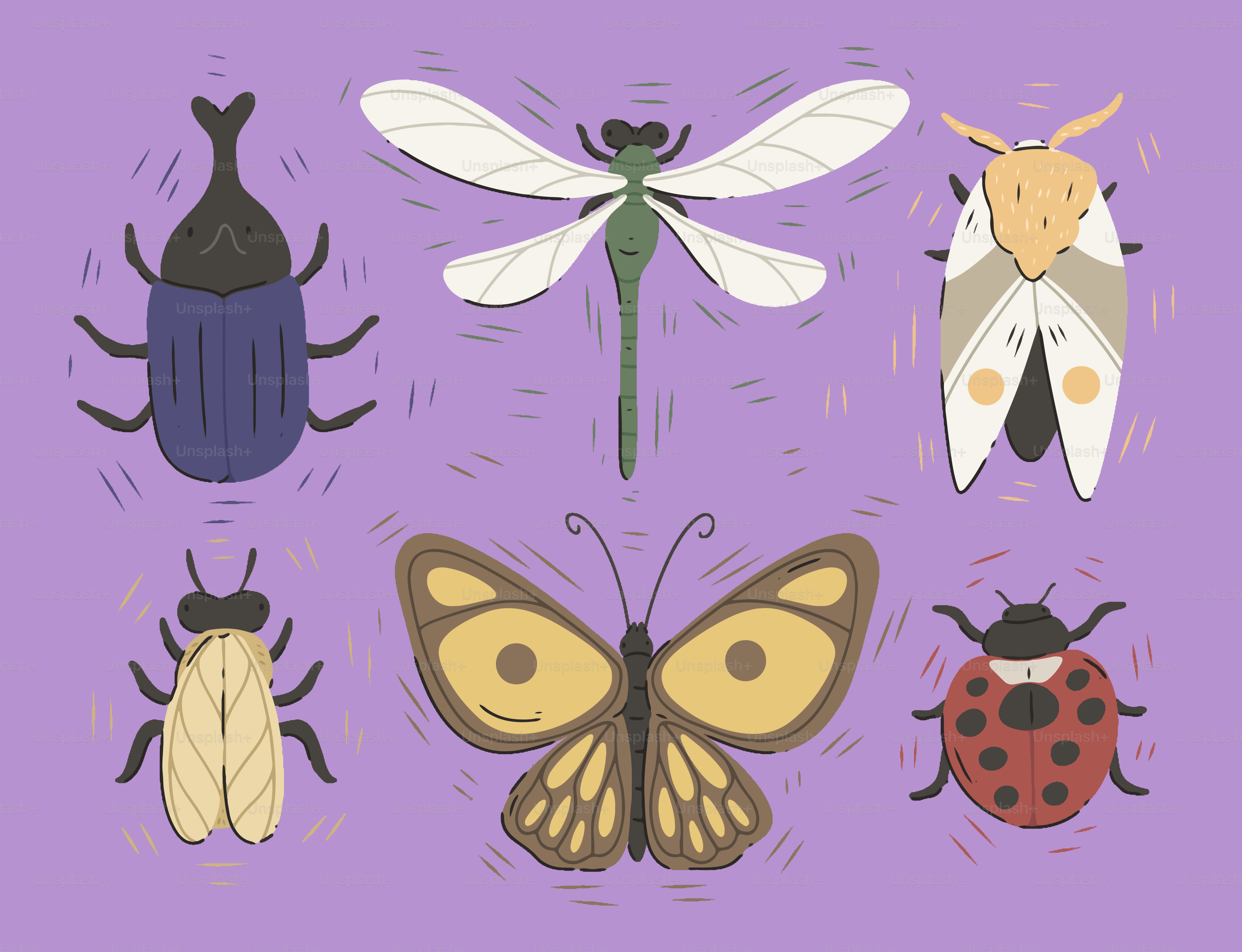 Bunte Illustrationen verschiedener Insekten auf violettem Hintergrund.