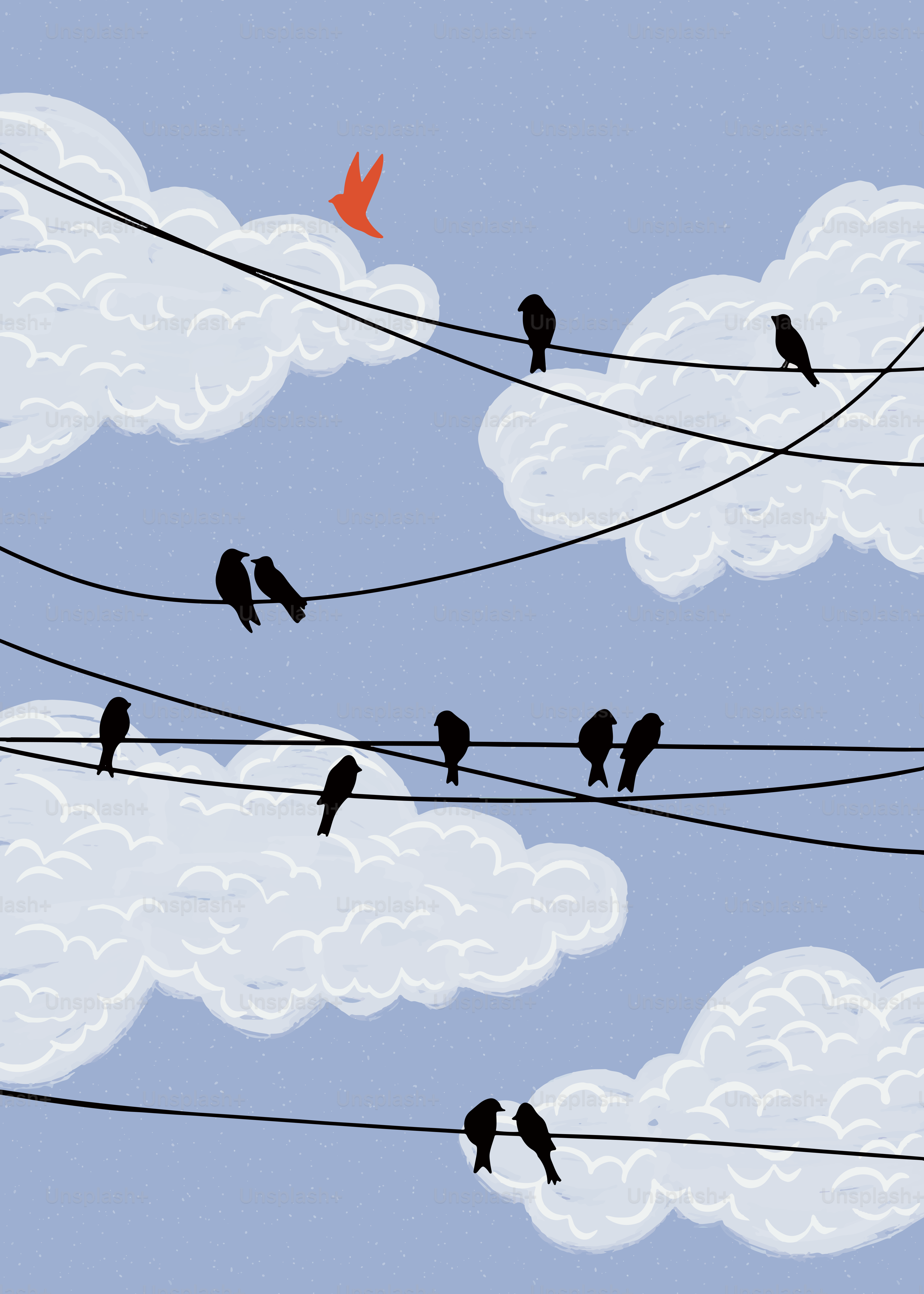 Birds on wires with a single flying, red one.