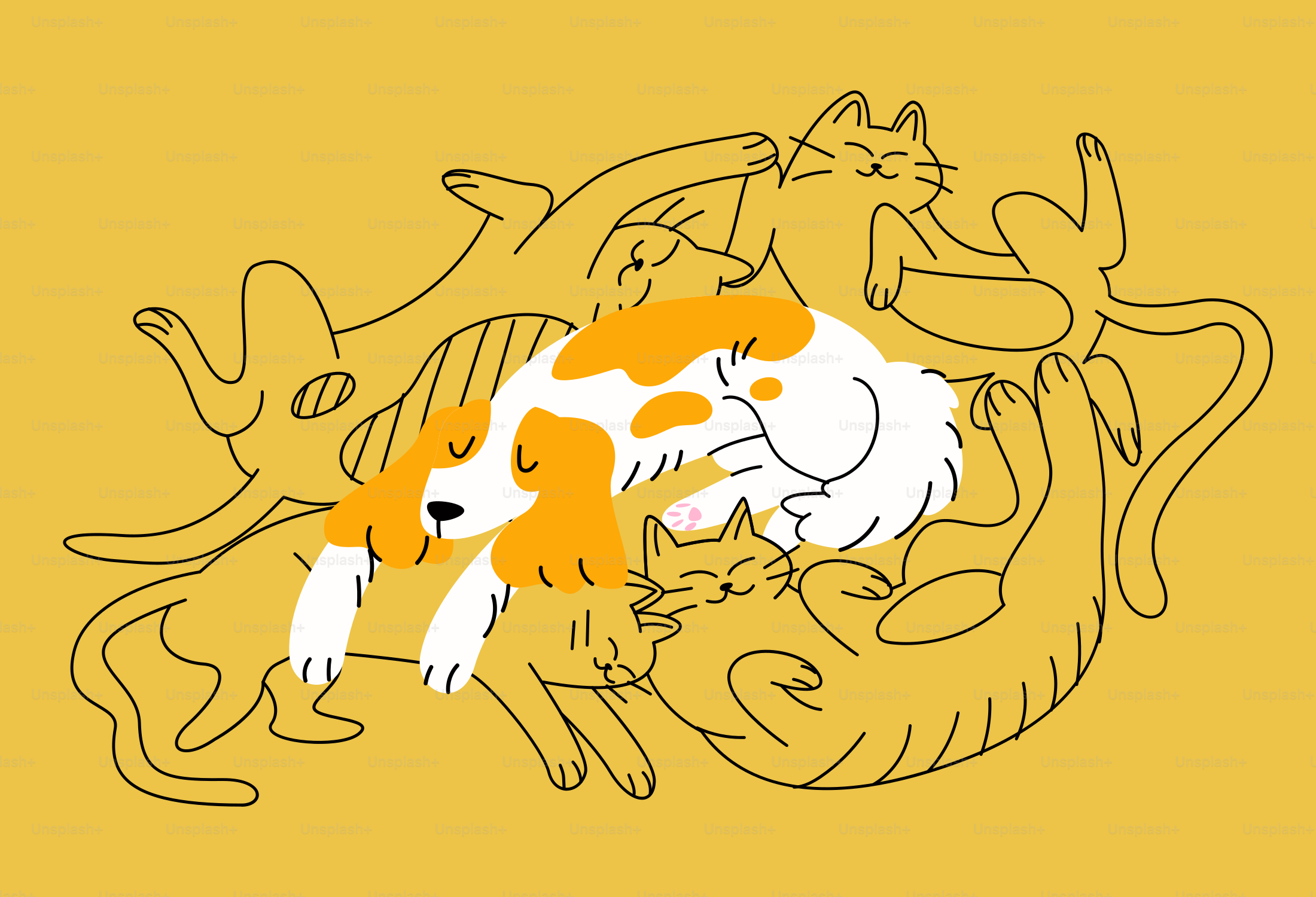 A dog is surrounded by cats.