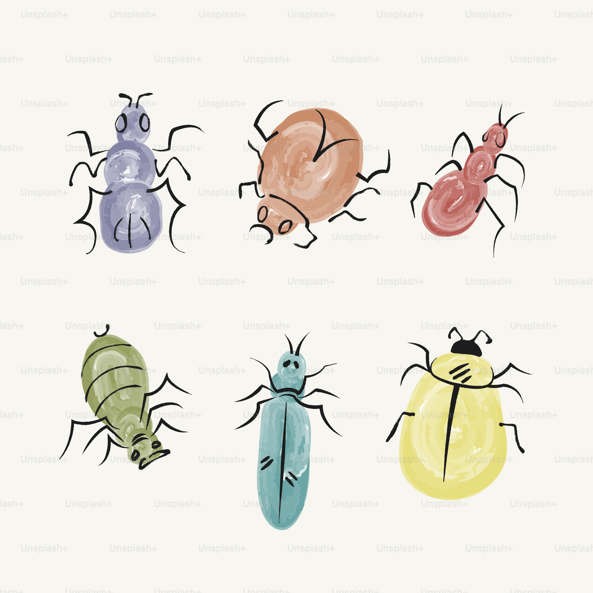 Colorful, cartoonish insects are shown in a graphic.
