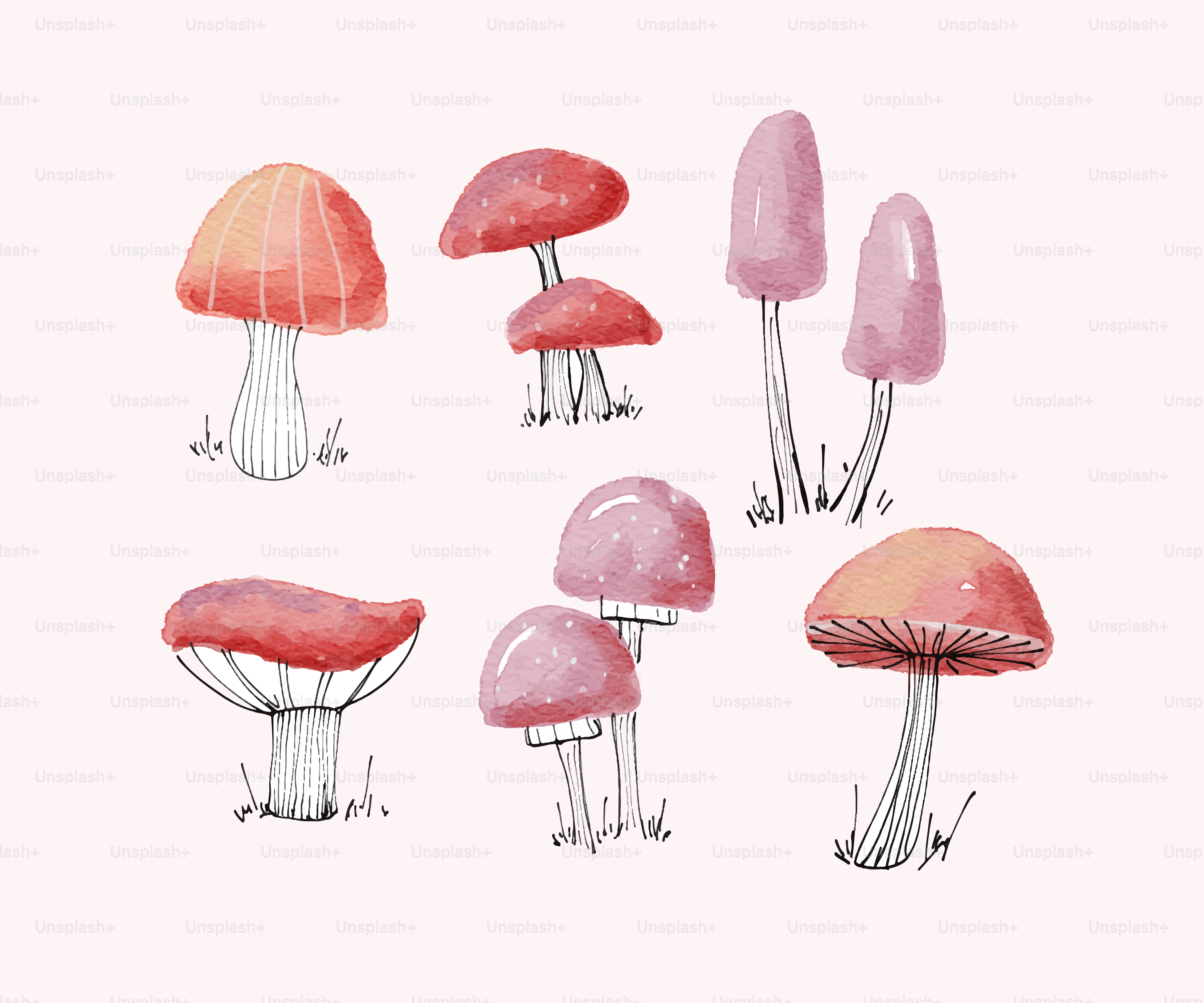Watercolor mushrooms stand on a light pink background.