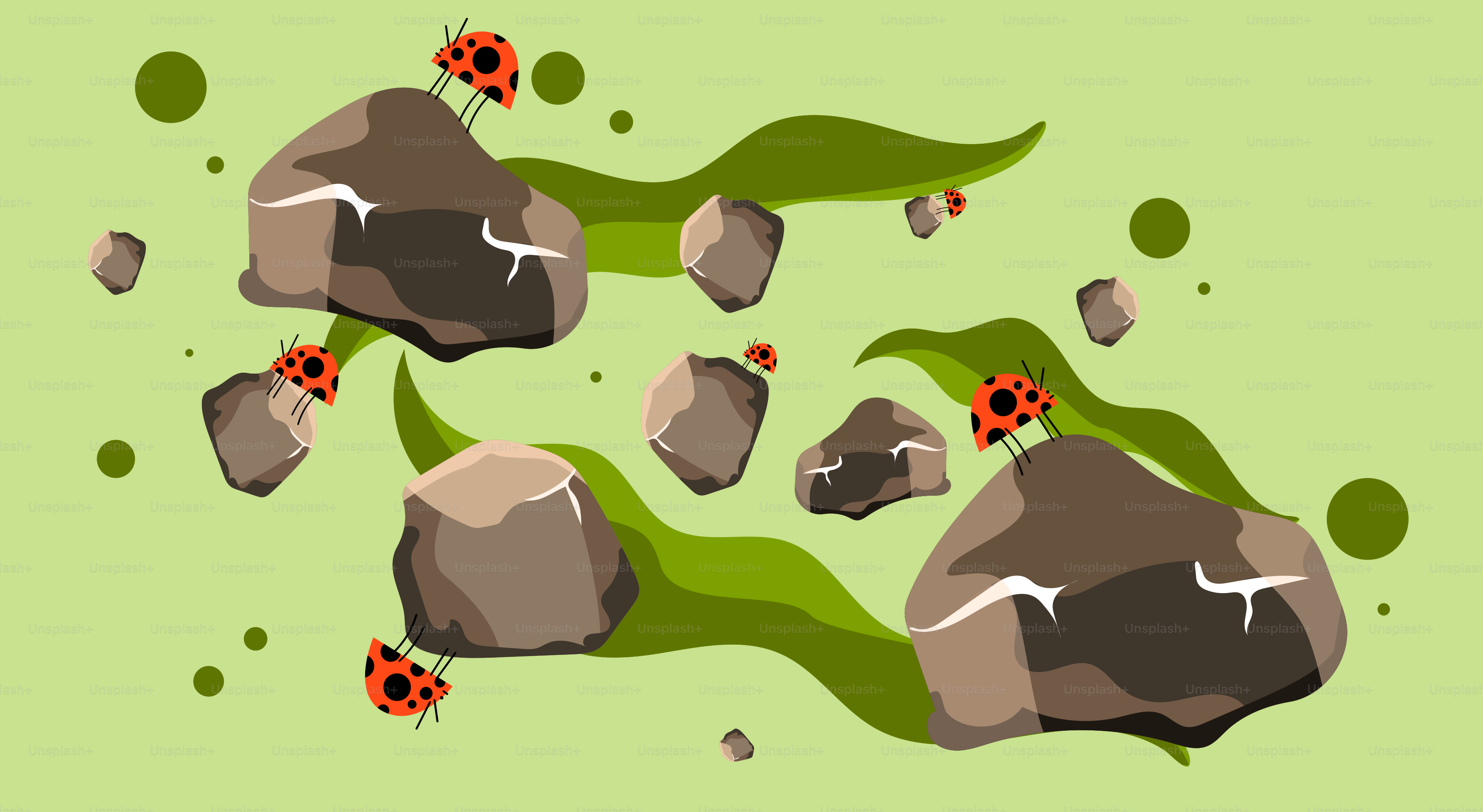 Ladybugs are among rocks and greenery.