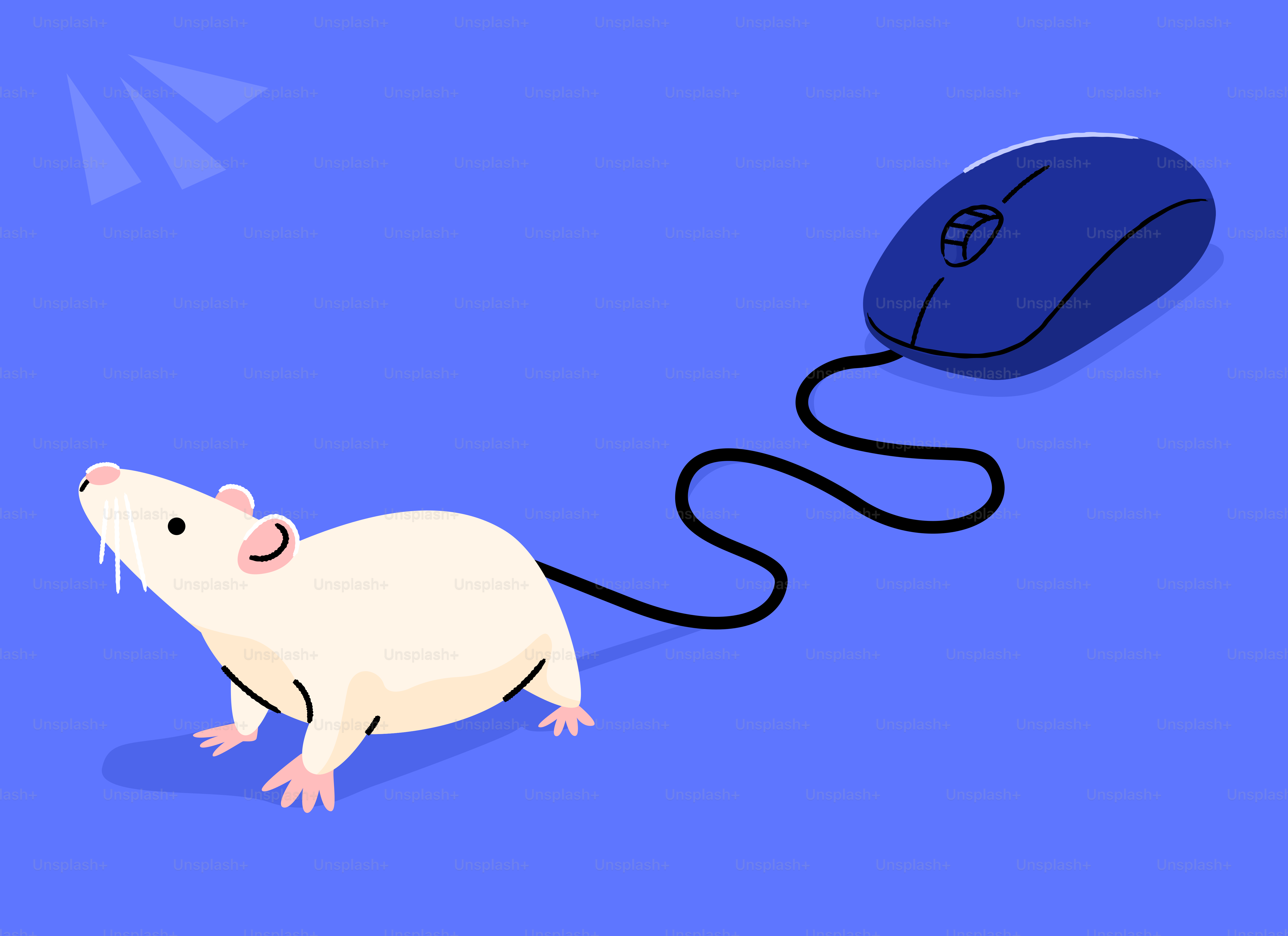 Um rato está conectado a um mouse de computador.