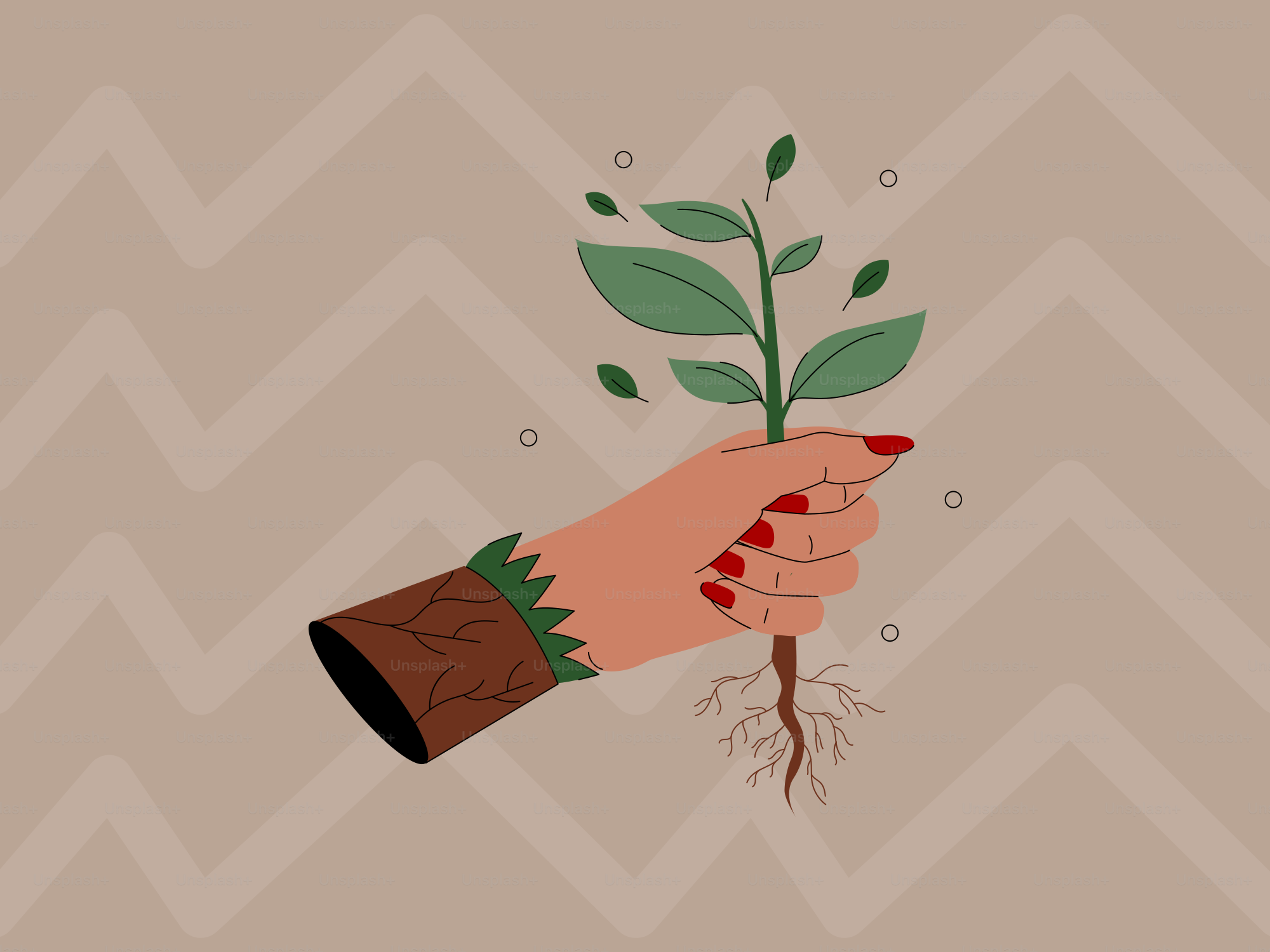 A hand holds a growing plant.