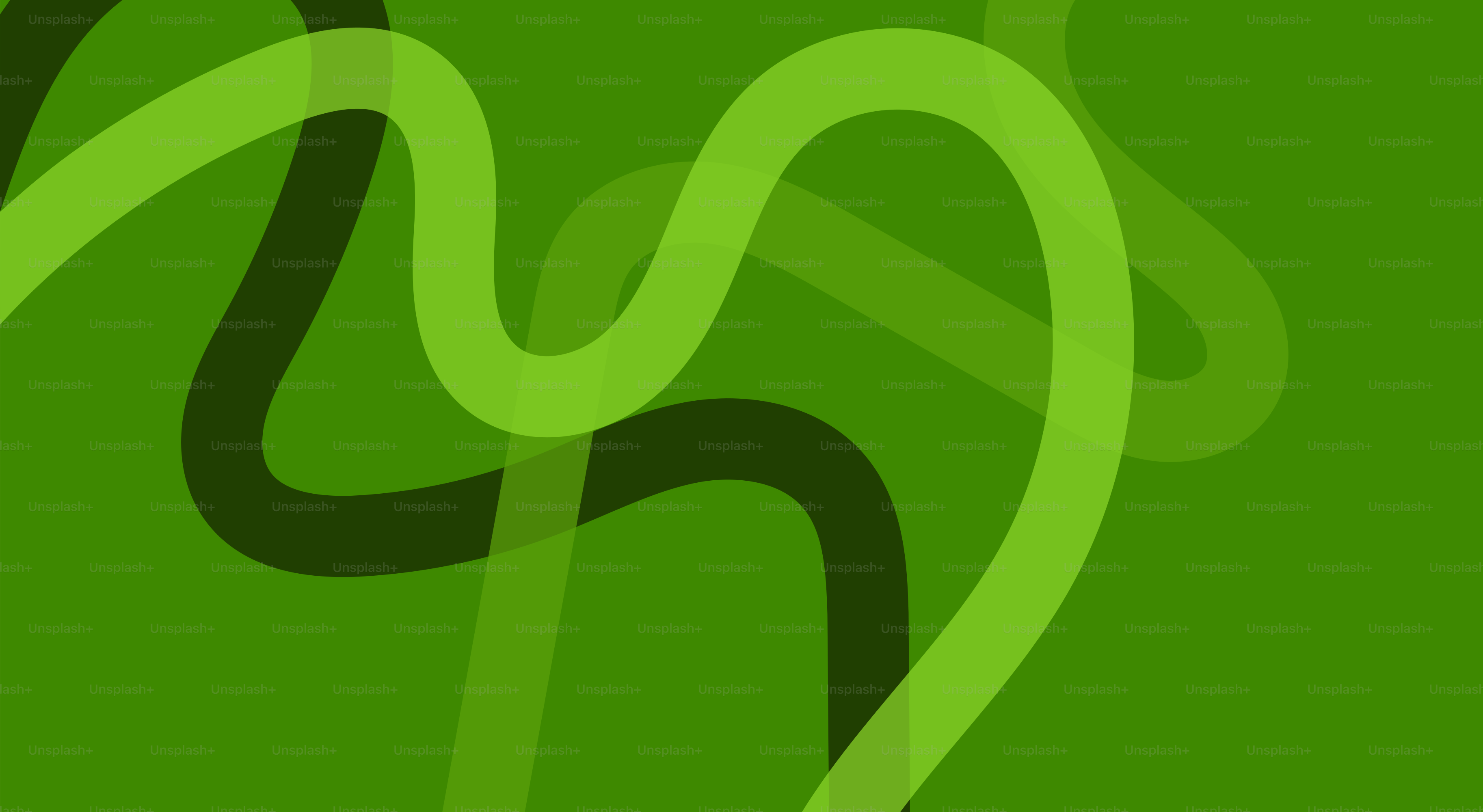 Abstract green wavy lines on a green background