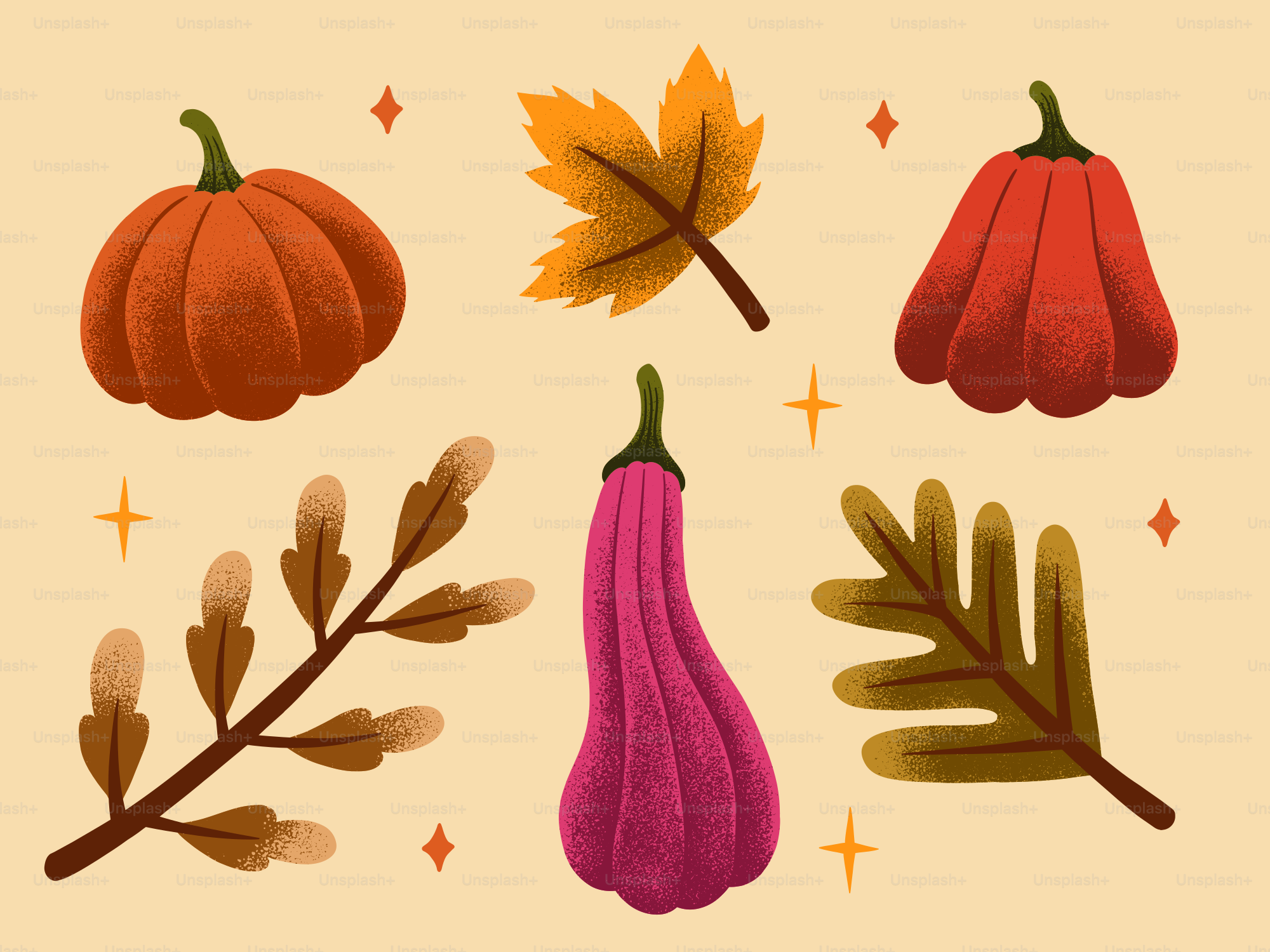 Citrouilles et feuilles d'automne sur fond clair vectoriel – Image de Art  sur Unsplash, image size:3000x2250