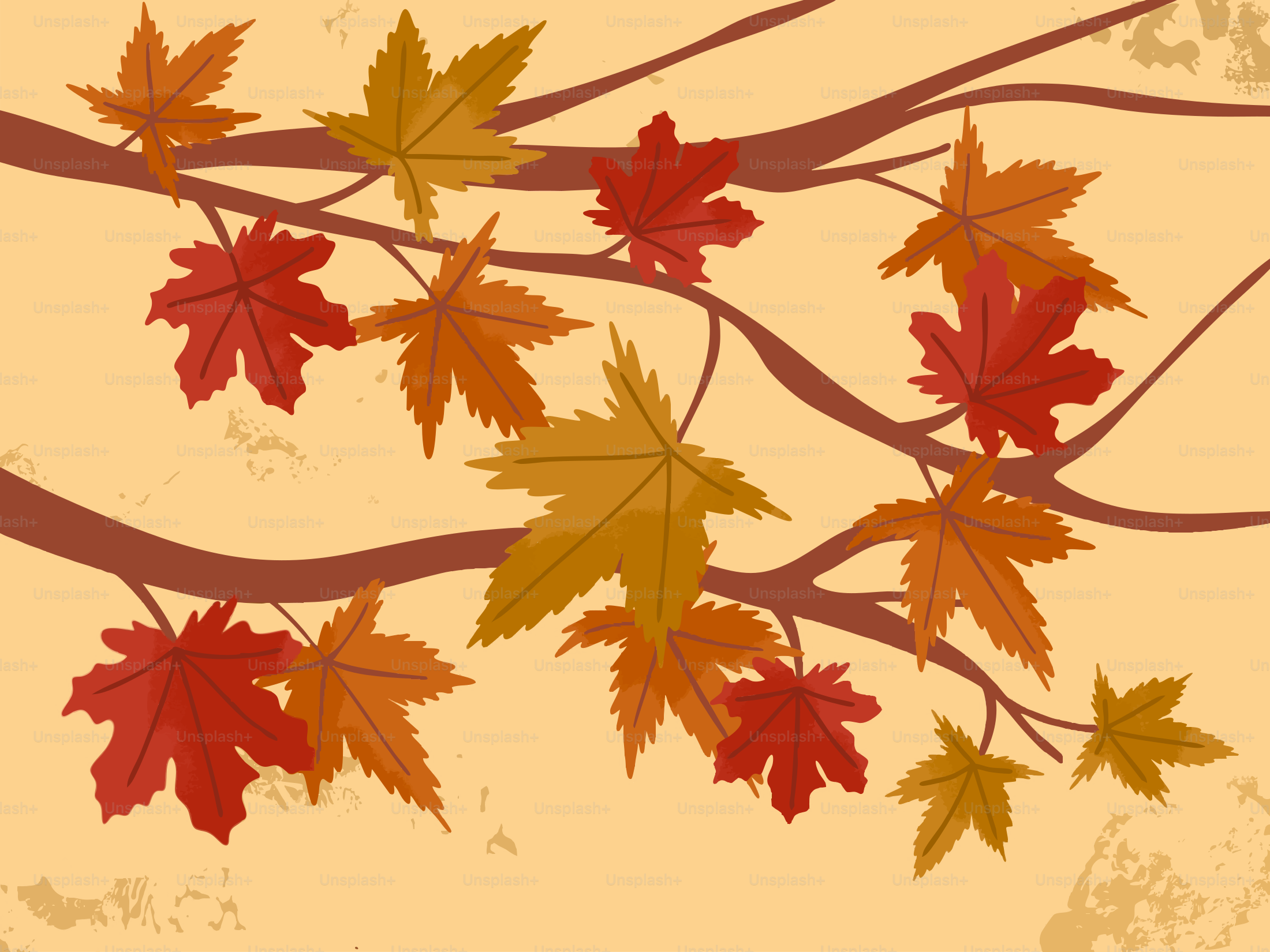 Autumn leaves on tree branches against a soft background vector – Autumn  Image on Unsplash, image size:3000x2250