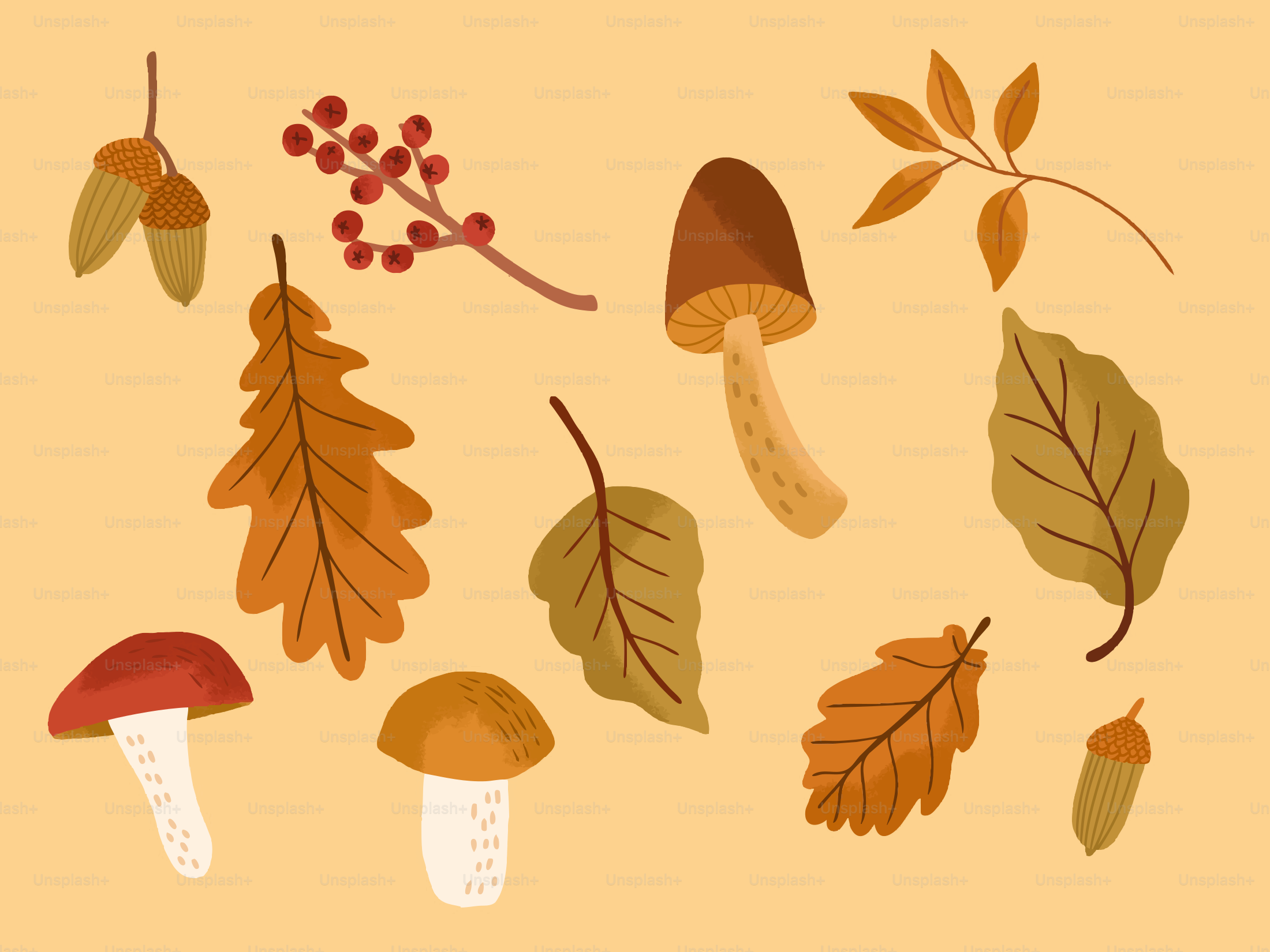 Autumn leaves and mushrooms on a beige background
