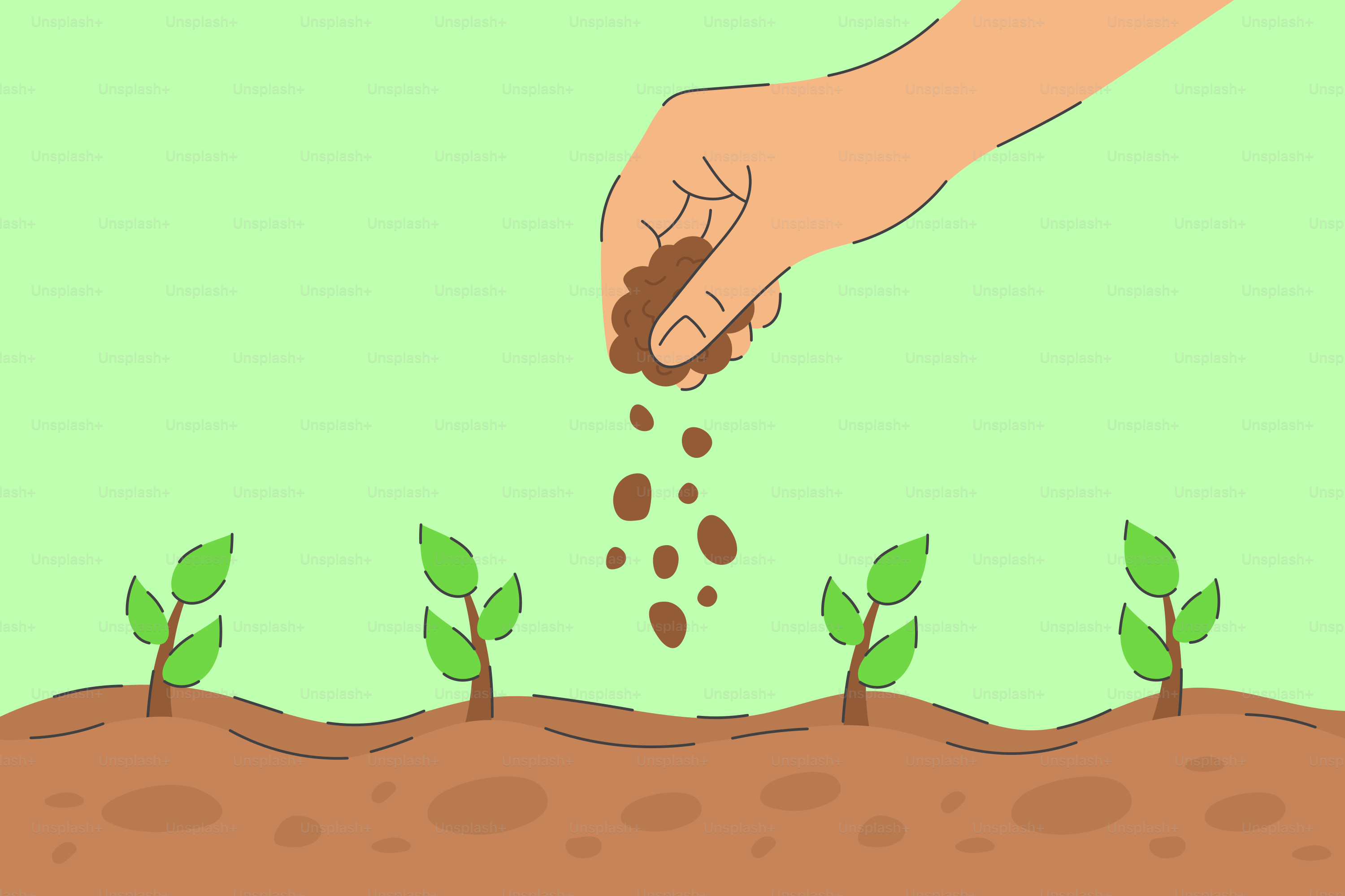 Hand scattering seeds over small plants in soil.
