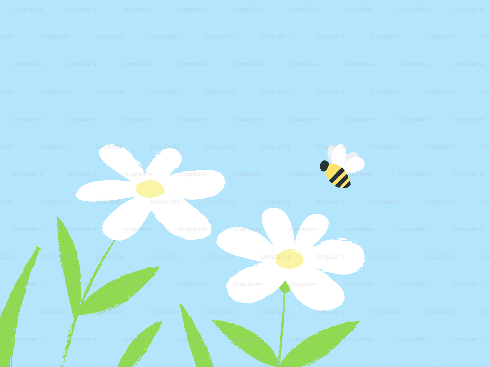 Two white flowers with a bee on blue background